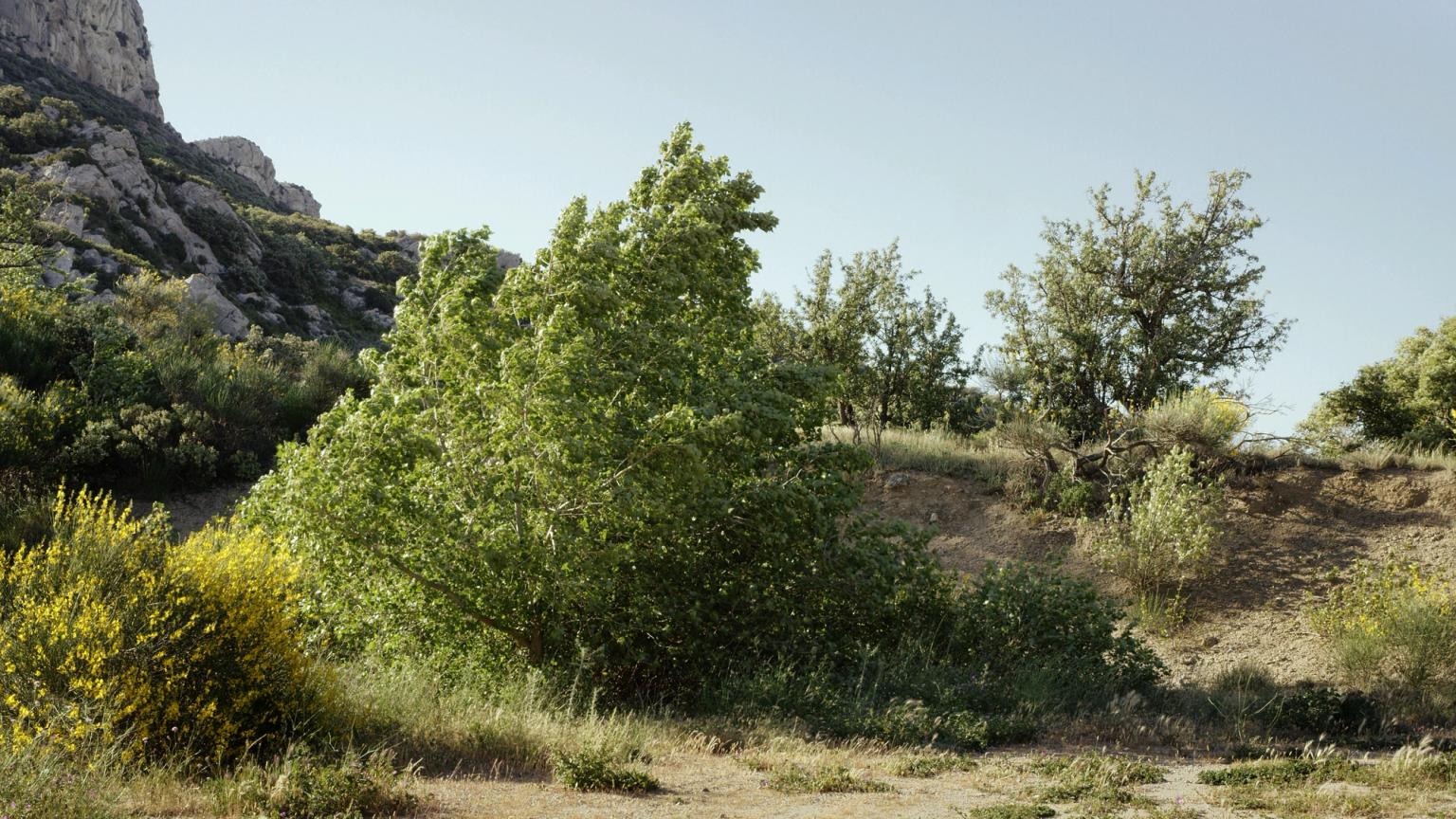 image-587dc885447f1bcf4f05889f413327d65673e4e2-3840x2160-jpg