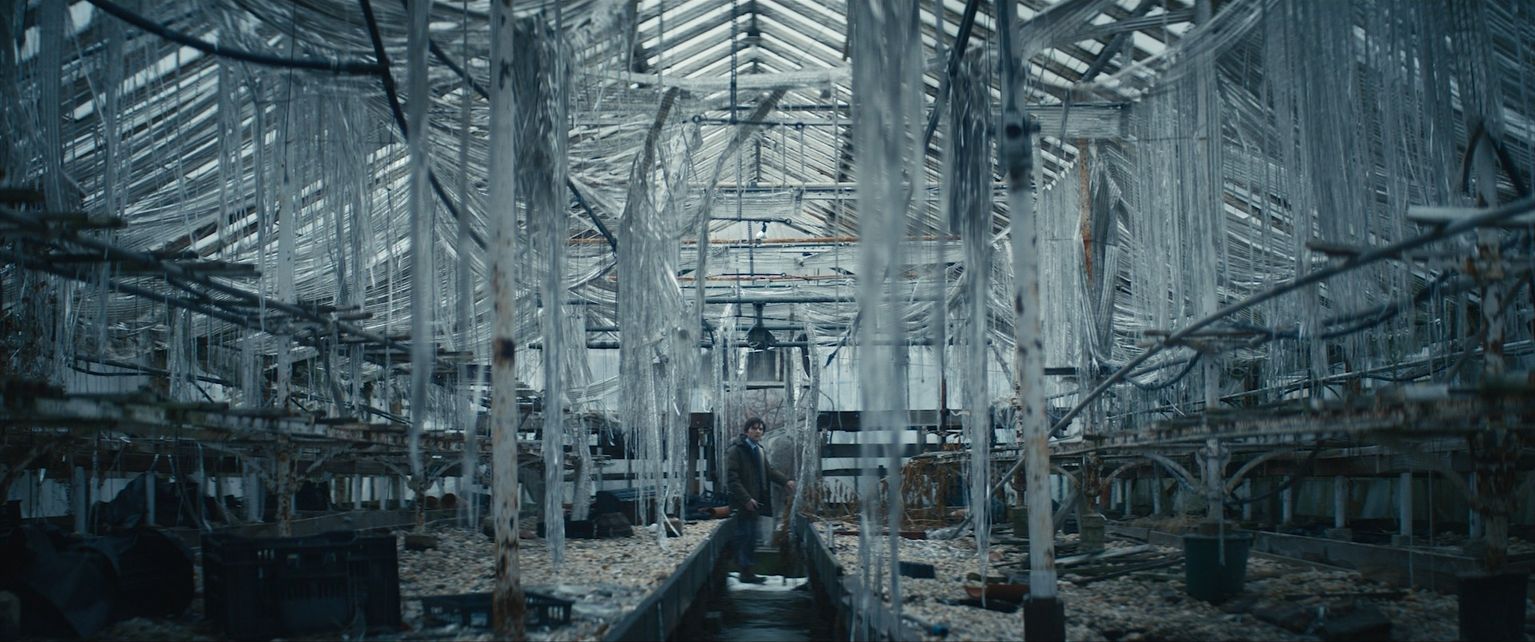 image-59f9fadeeda762247c540658f27081cdba088791-1920x803-jpg