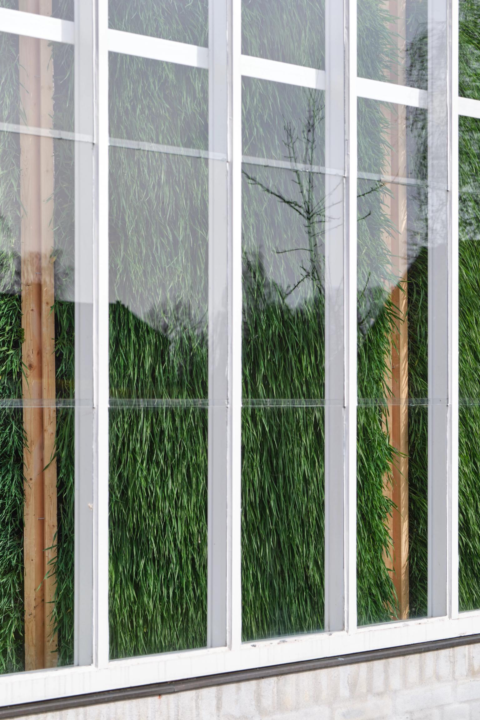 image-5e33228fadbc21eab15ce444c18251a1039a9308-4995x7493-jpg