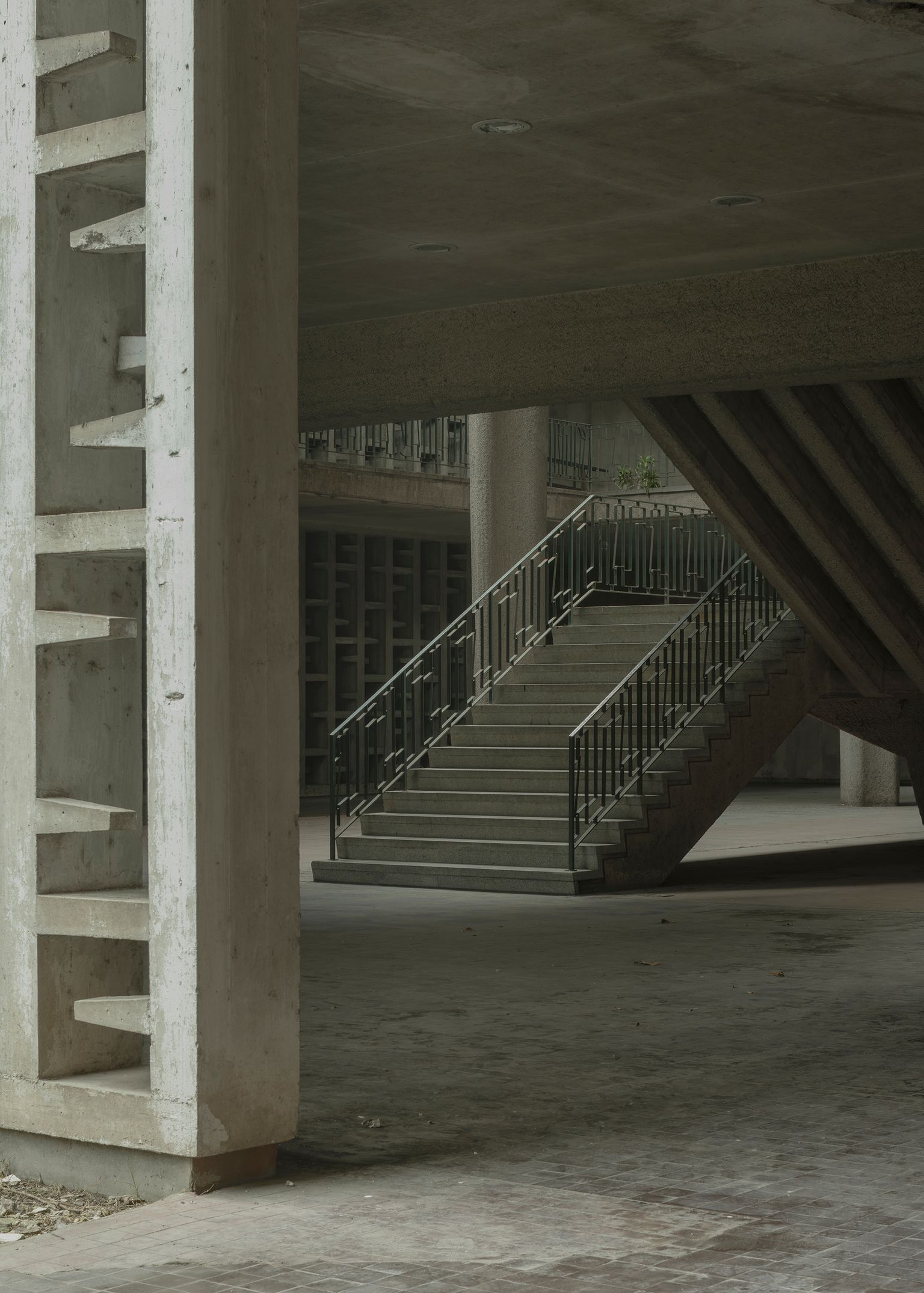 image-5f572c922650b6cf5c3a606d78f6b0972b459380-2000x2800-jpg