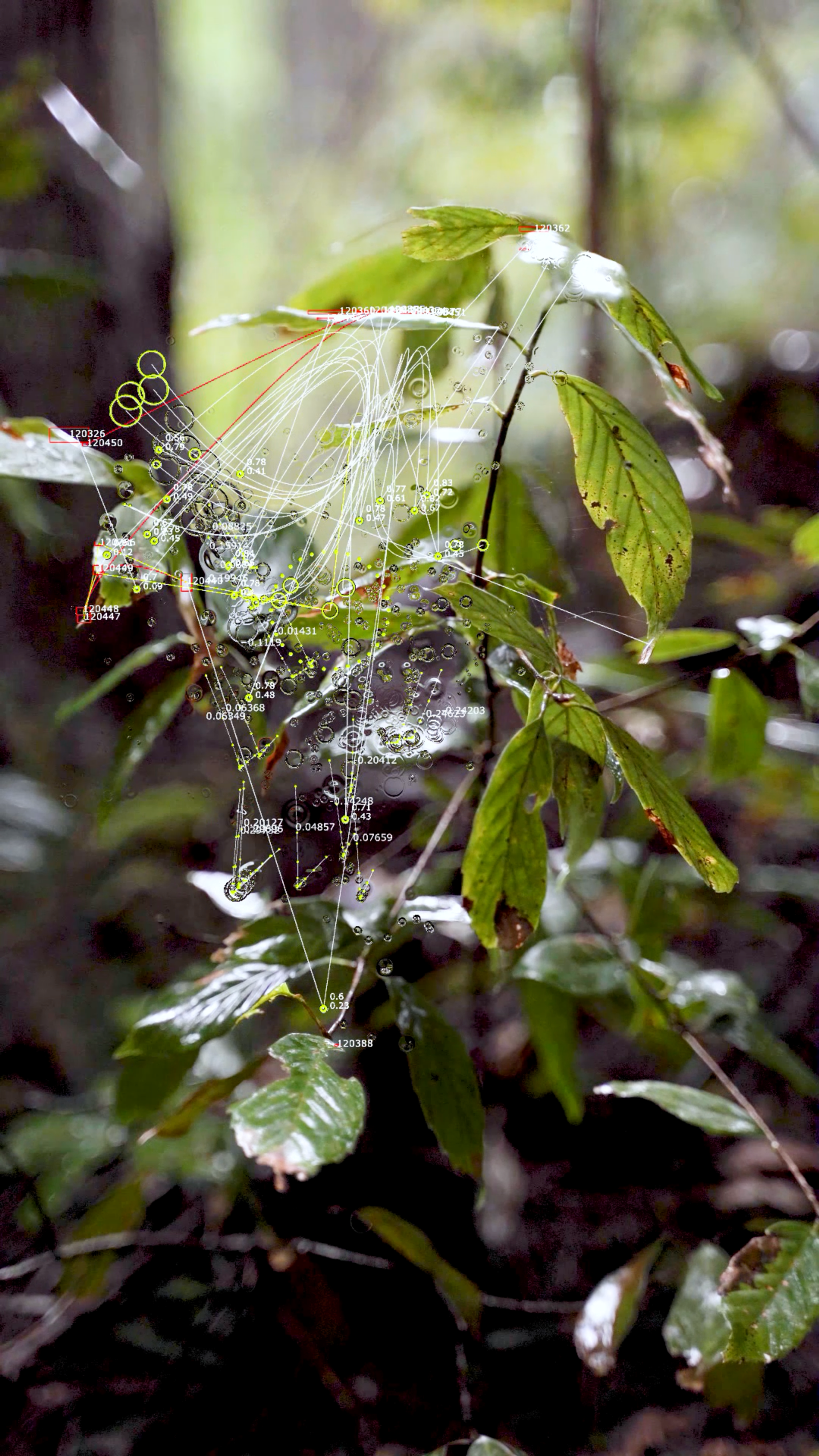 image-615932533eb1b4e1cf2b98950e63c77f337aa0e6-1620x2880-png