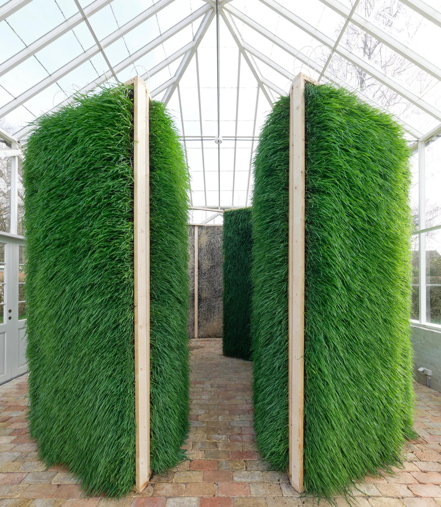 image-622188f67609e1bbbb9fda841712050c8cd4aee0-8602x11180-jpg