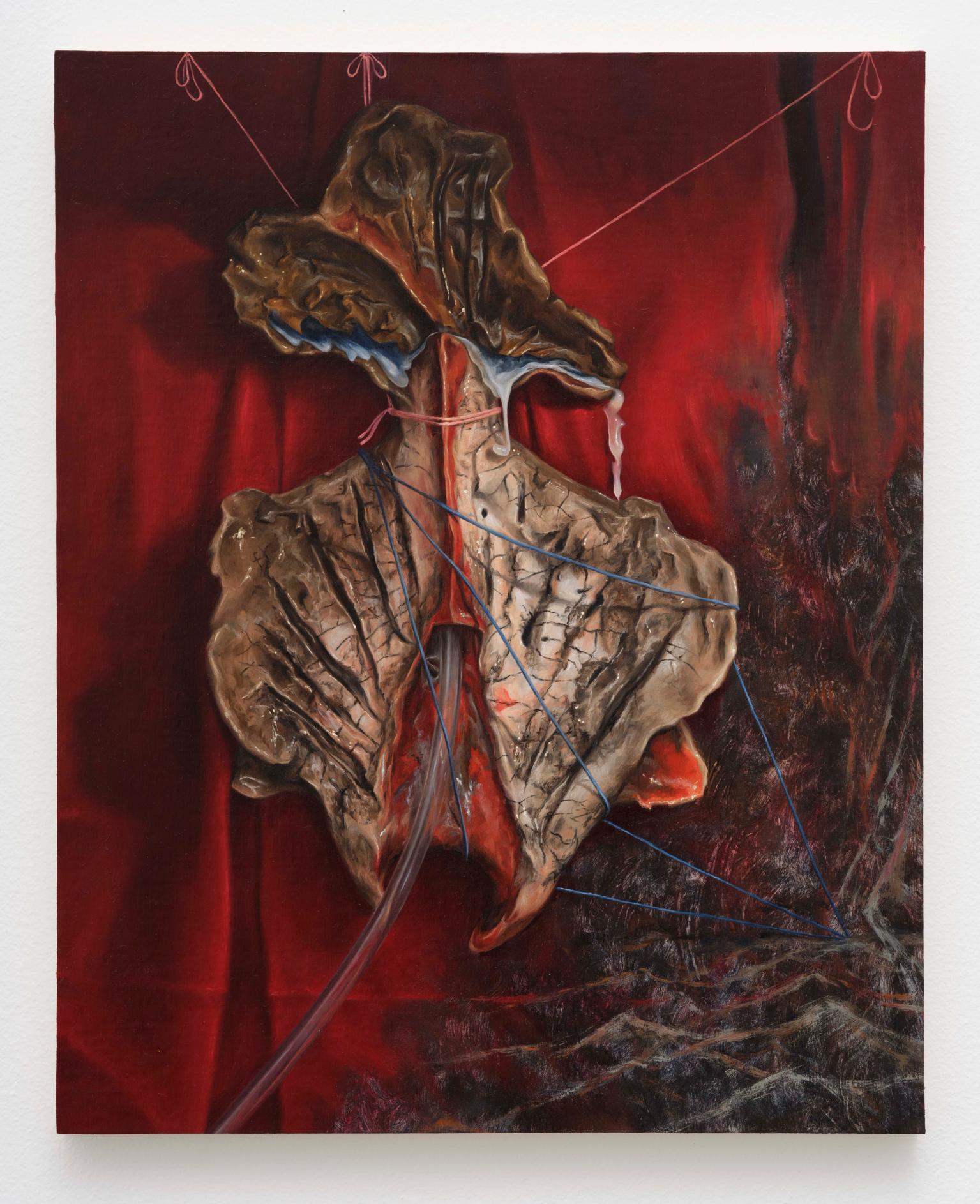 image-63193a24ab0ca649a25dc45ff1ff91238e1fe4a1-7742x9511-jpg