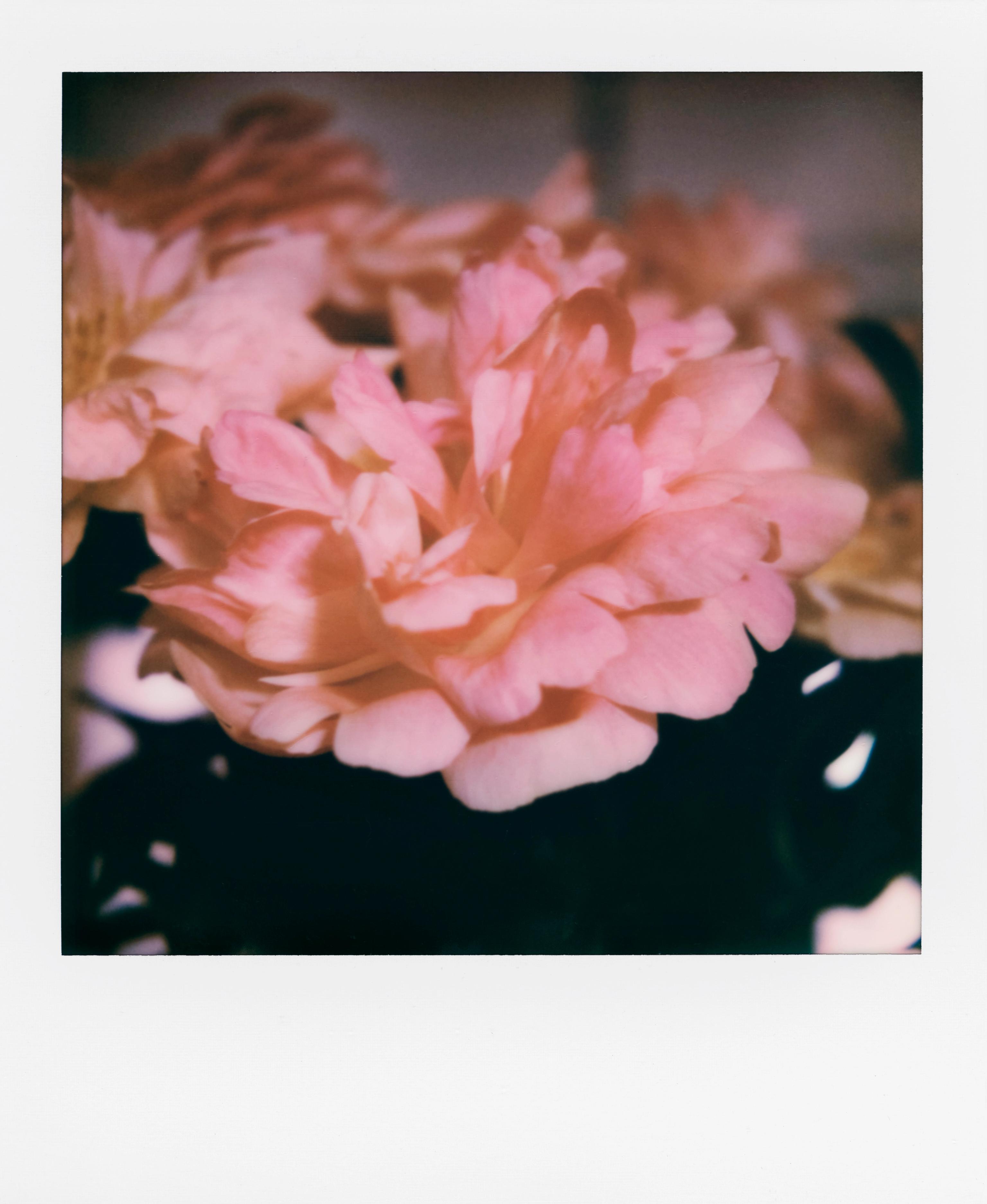 image-677263ceb3222404655c762202318ba9b1abc18a-6850x8362-jpg