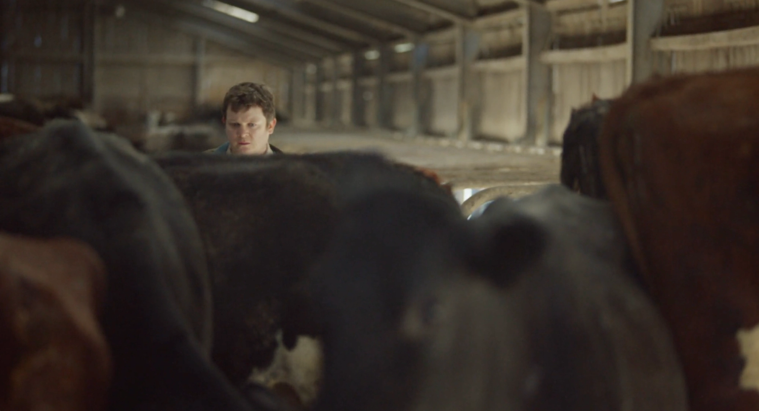 image-694edde6015cf076e5c7b7ca8d032132787bb1b4-2992x1620-png