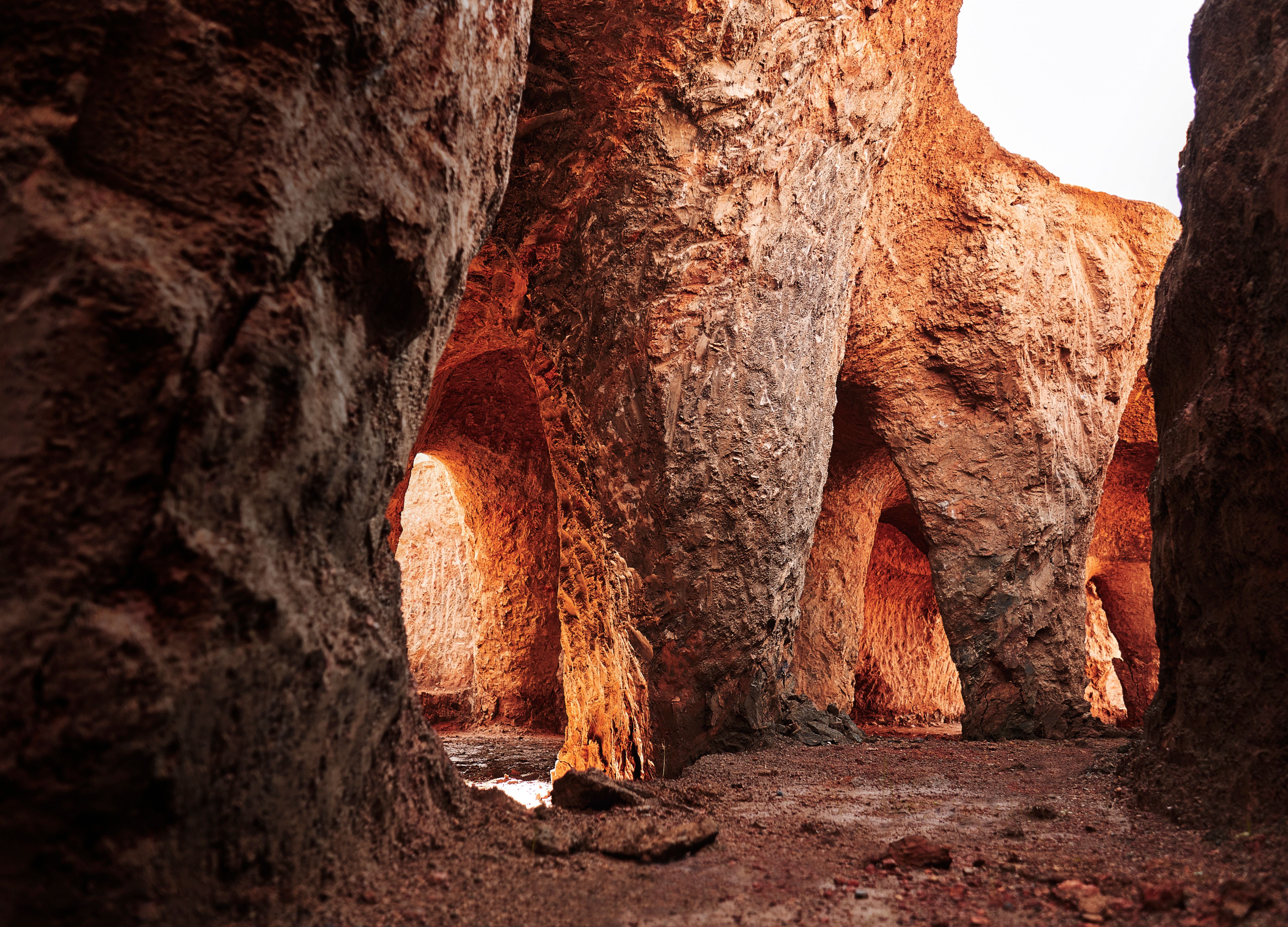 image-6a4f6bbc18c7e6a5a1d22342cace641883cc0d13-5184x3733-jpg