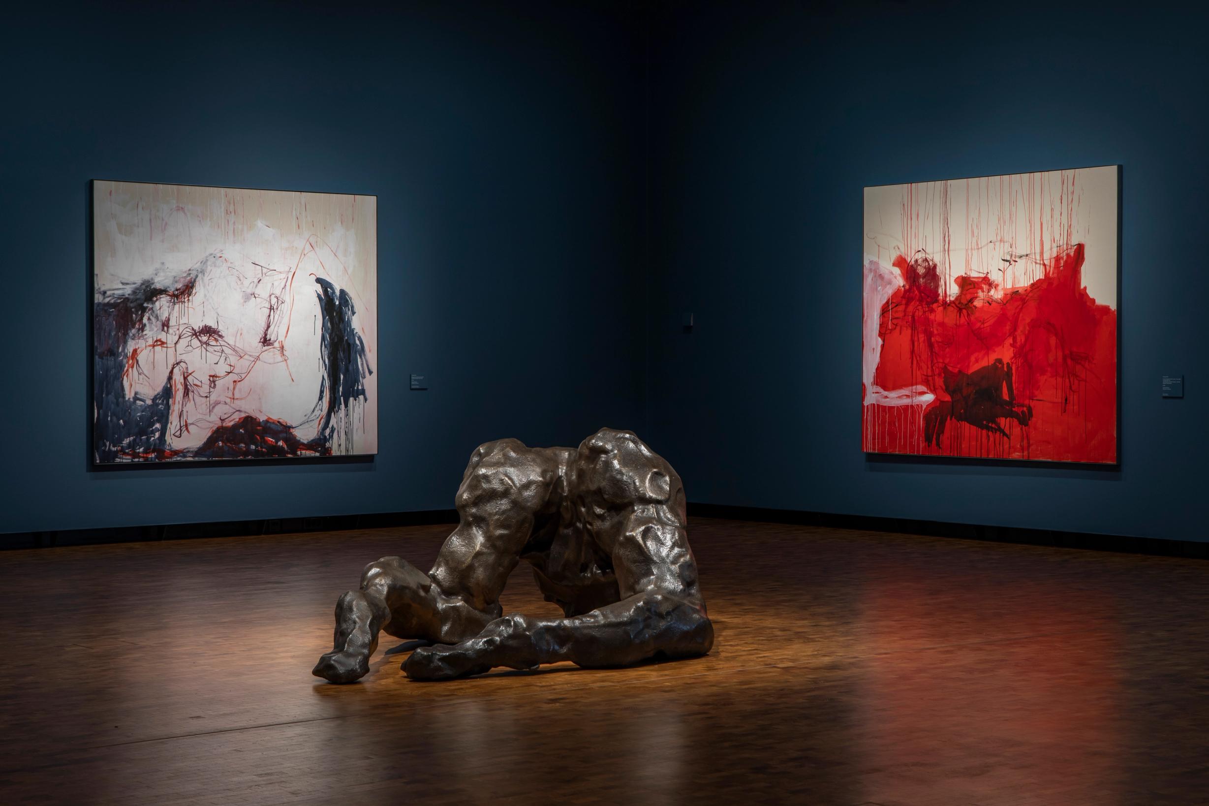 image-6b726ee3efa7727348b16261e1688b0480a58ffc-6514x4343-jpg