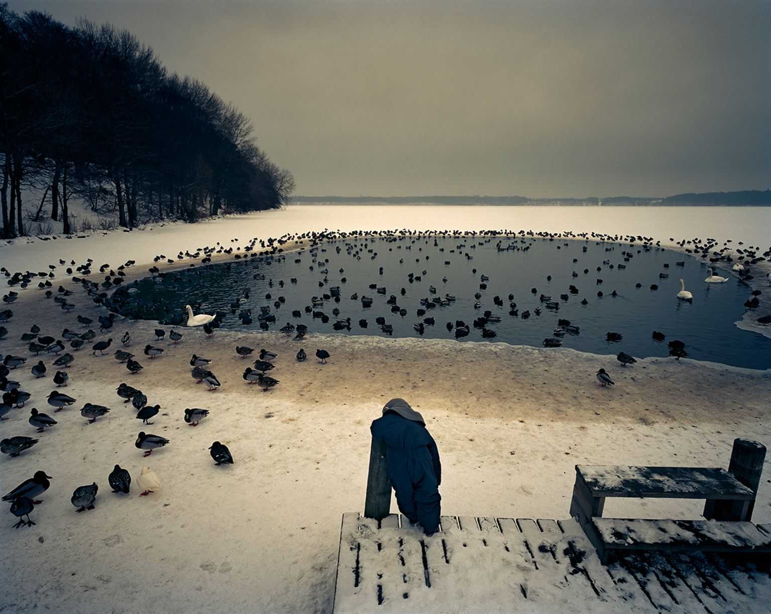 image-6da6e4c56ef2d8a8aa02fb92be275e364fb37727-1181x940-jpg