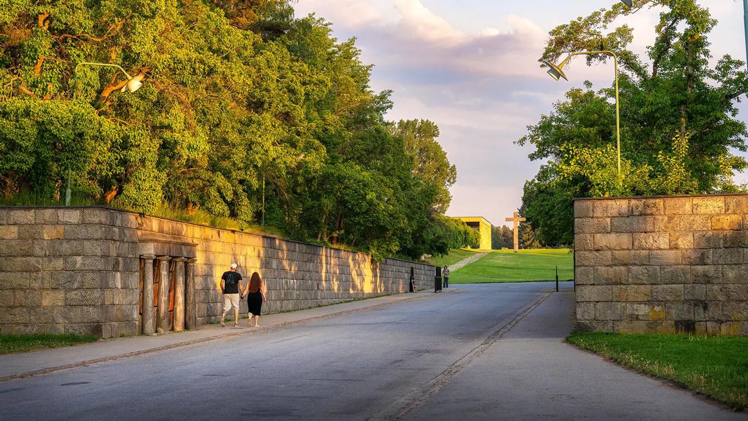 image-71073cac76b7a43cad14d83afb601a12815aecfb-1400x788-webp