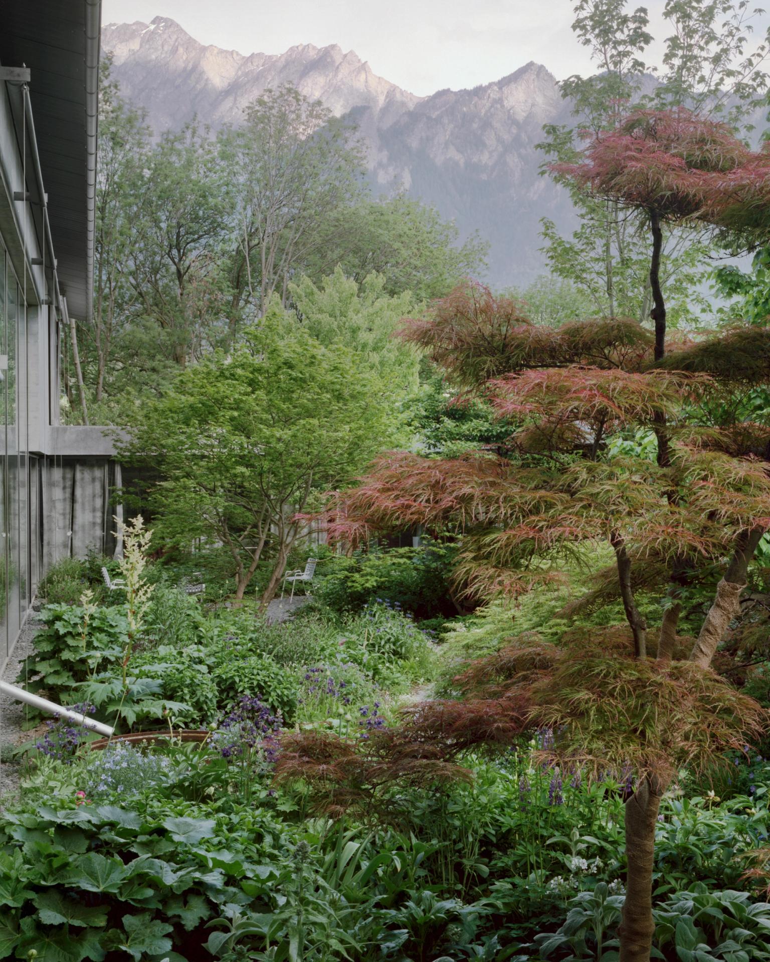 image-711c3eb18f57b9f9abd06fc9547ff1f5d5b32833-2400x3000-jpg