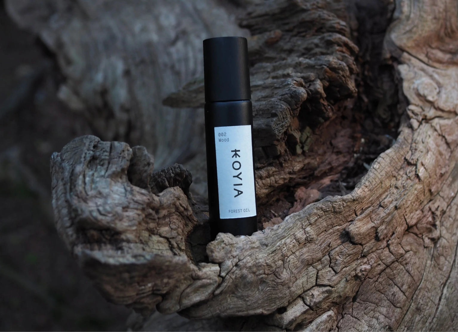 image-740ae3c968c35cc303fe3da912e33a274dbff20e-2474x1792-png