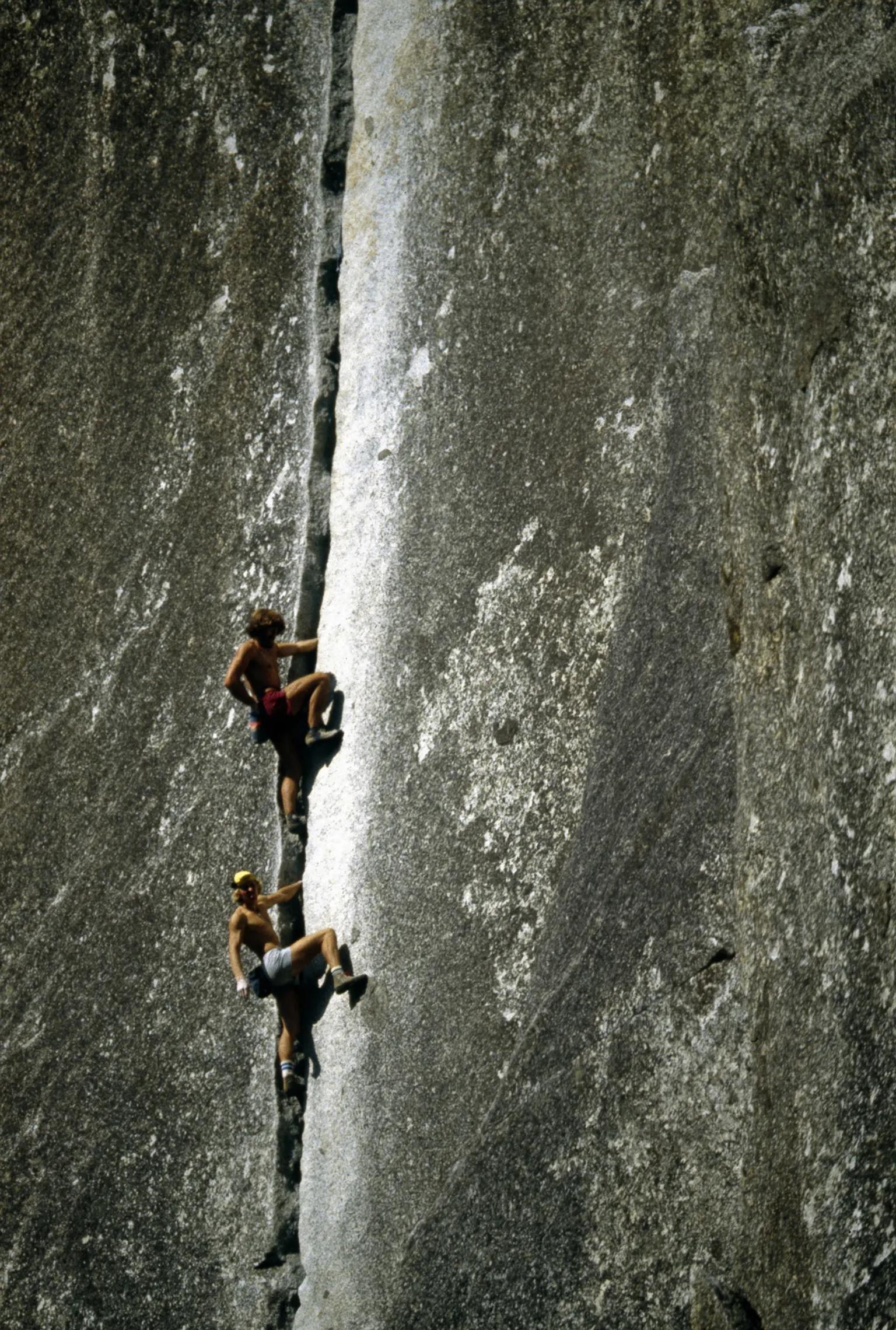 image-74720b4b21e035fa421b6692c5905ff41b82d375-1358x2016-webp