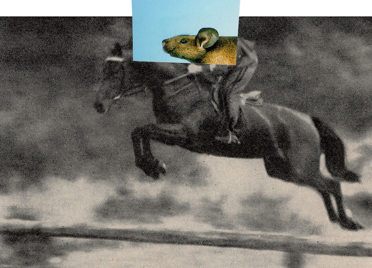 image-747382ea1407fdb9a92b41c6f6821aa063553a8c-1800x1297-jpg