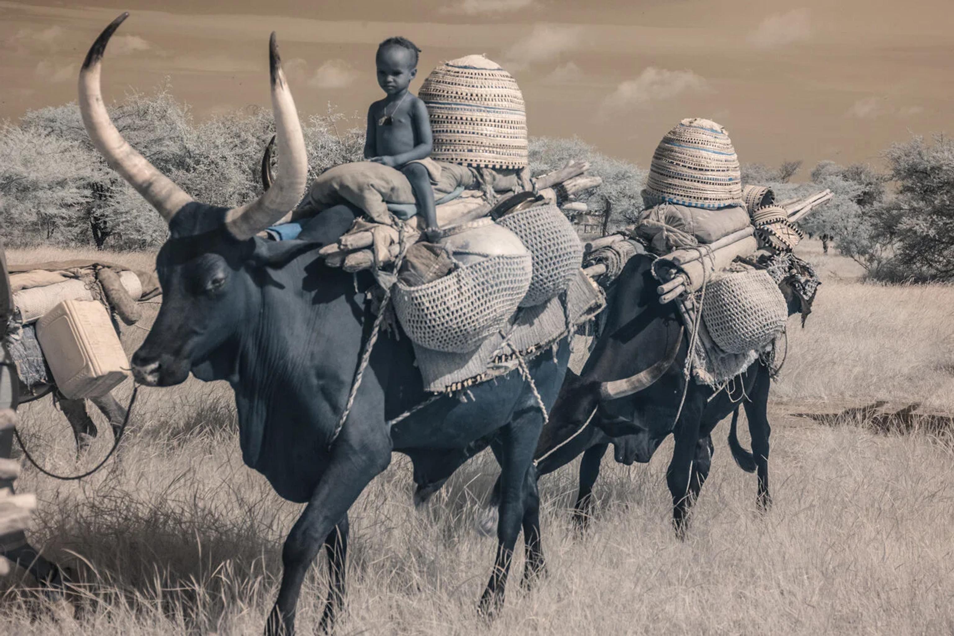 image-778903090cbb61a6f5ce1dc5c2a338d77f22c5ab-1280x853-webp