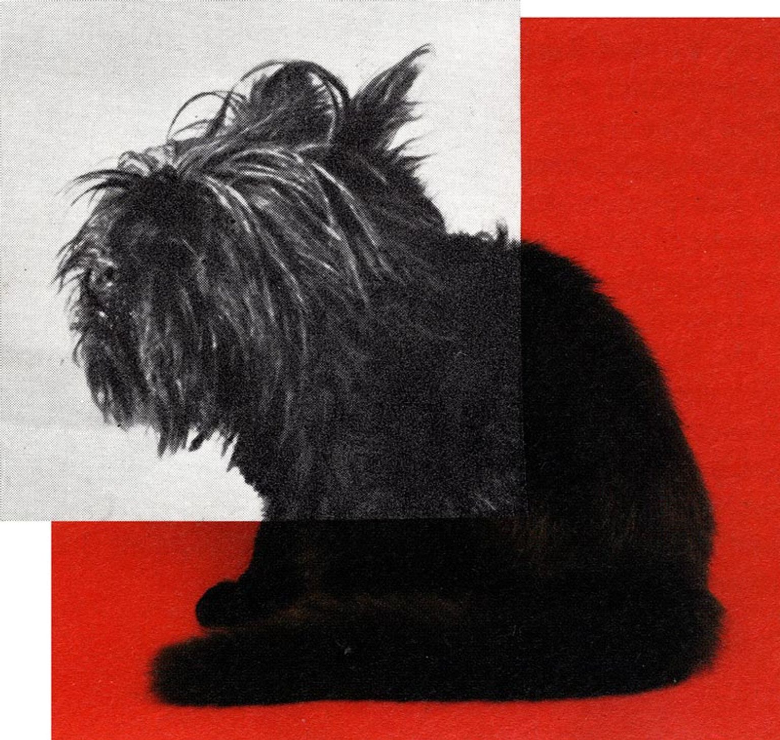 image-77fcaad866f1b1a946c7c8f58bd68ad778e721fb-800x759-jpg