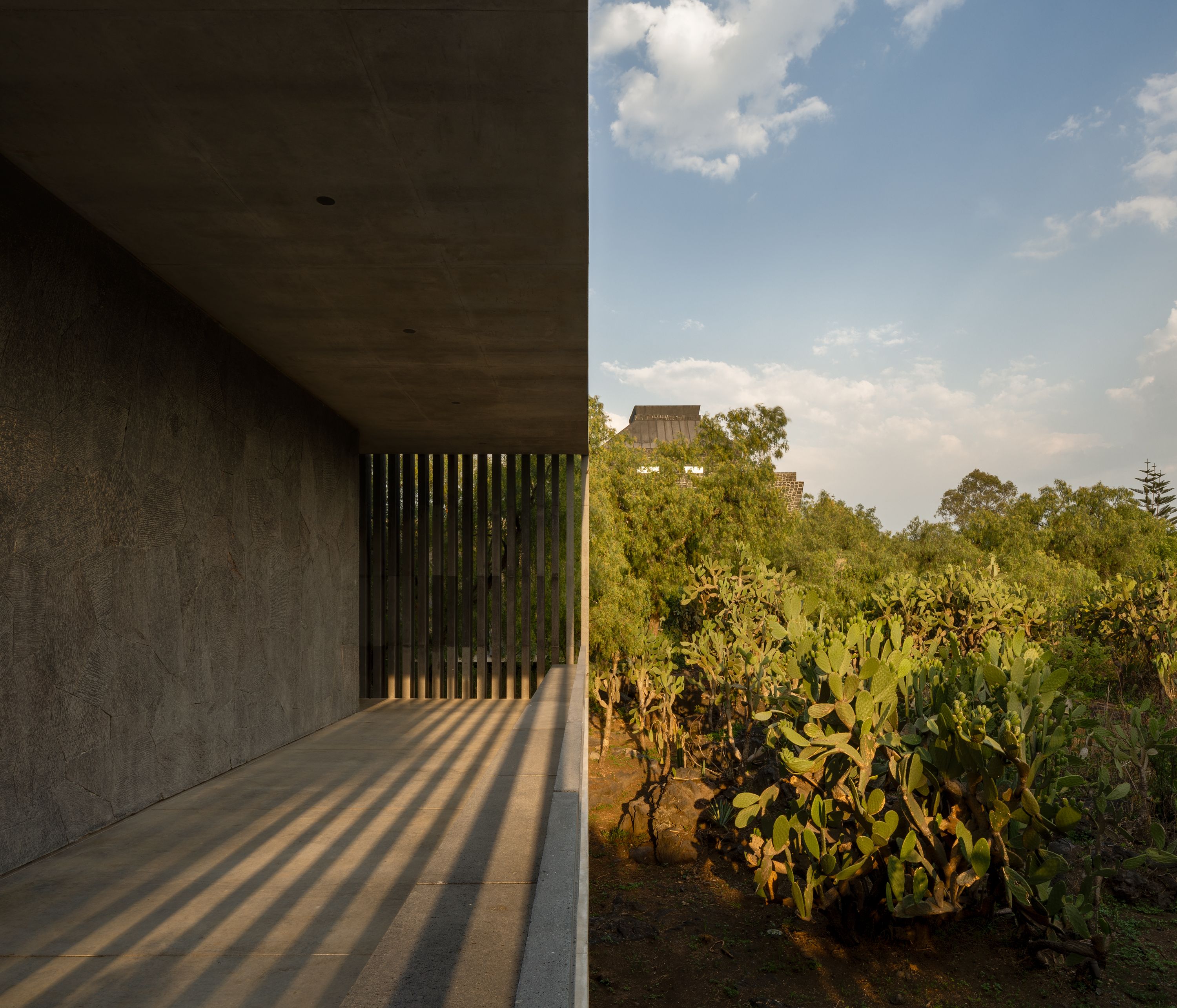 image-7a9300a6c167c0863461531f860250223091154a-3000x2571-jpg