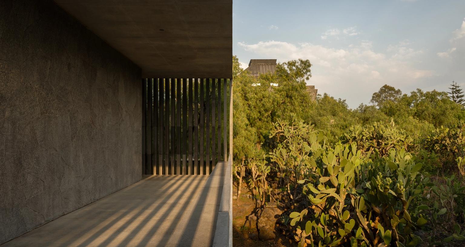 image-7a9300a6c167c0863461531f860250223091154a-3000x2571-jpg