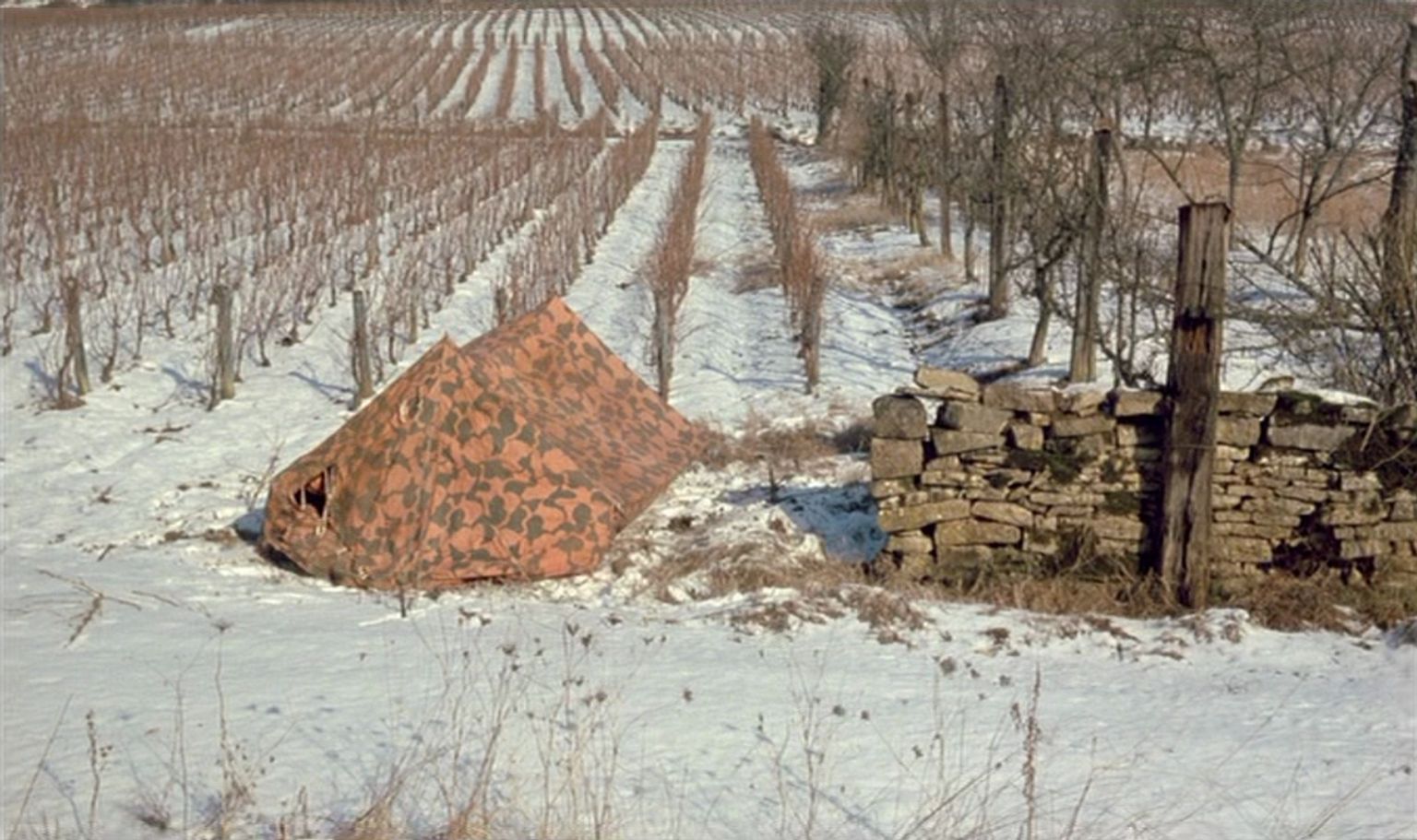 image-7a9b77f005f0c813118021175091ee50dbc03f4d-961x570-jpg