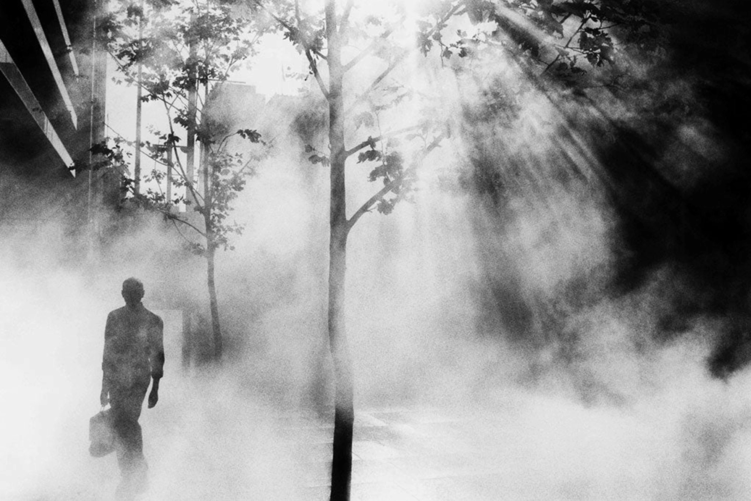 image-7bceb7414bc8a109862945dca6cb61a419db91fb-2042x1362-png