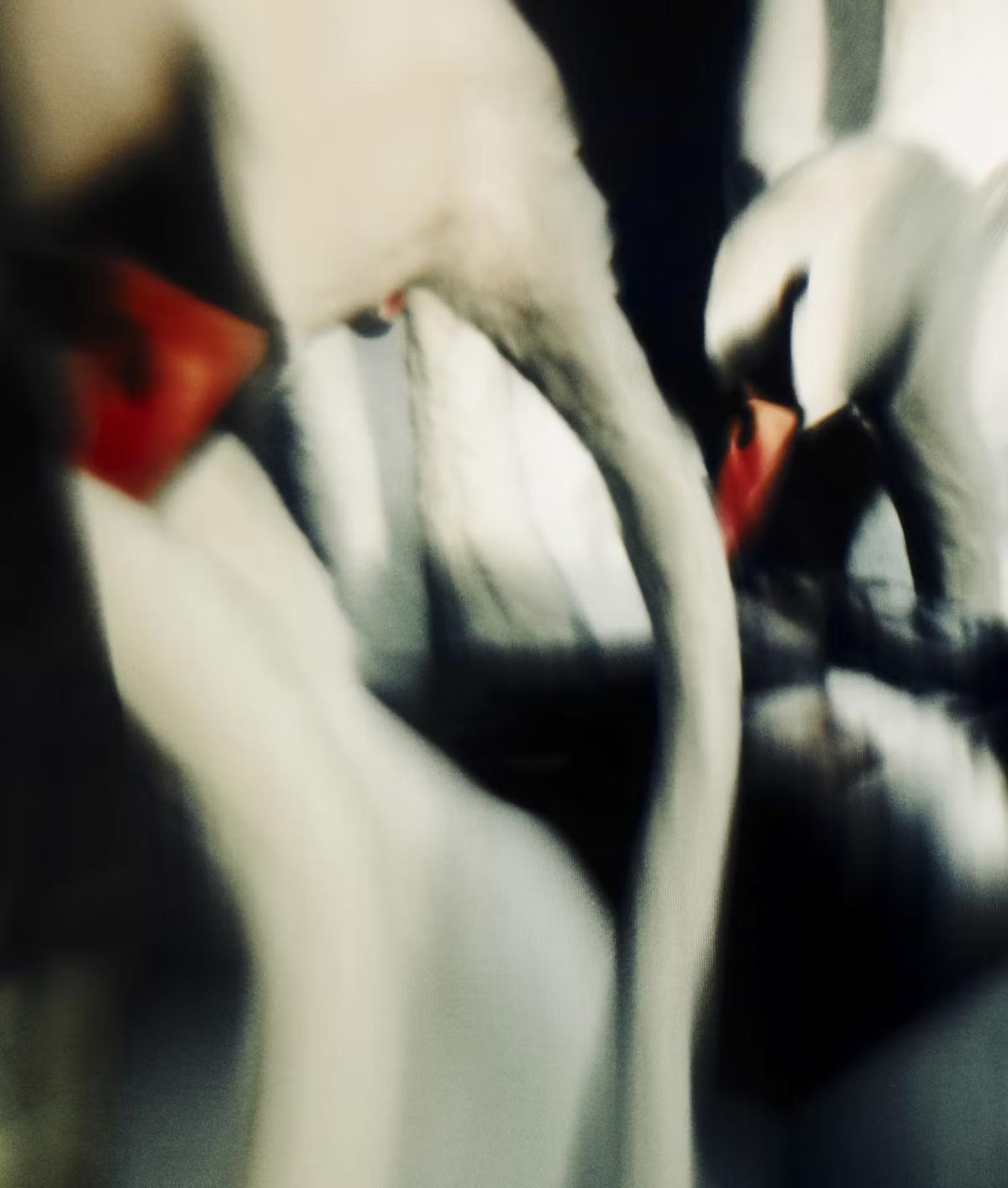 image-7d18b86c88a0b6220d45e796cdd2f4de748bd4a9-1600x1885-heif