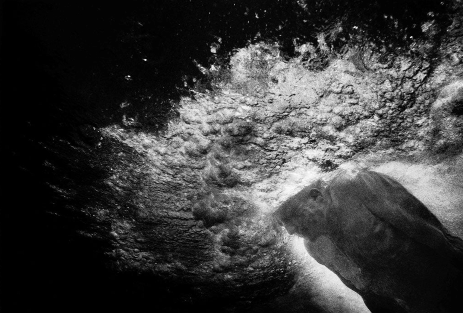 image-7da5006cf4267c61b9ef539025ac7919622bd55a-2030x1376-png