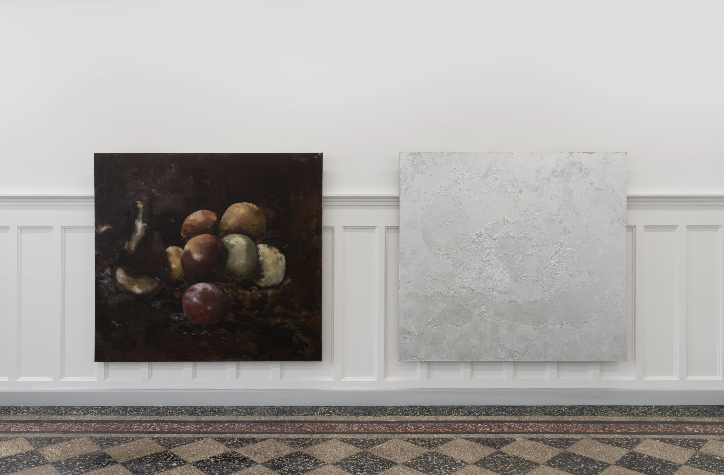 image-8389e3bff153f92506e00bab24bd529f563d65de-9482x6219-jpg