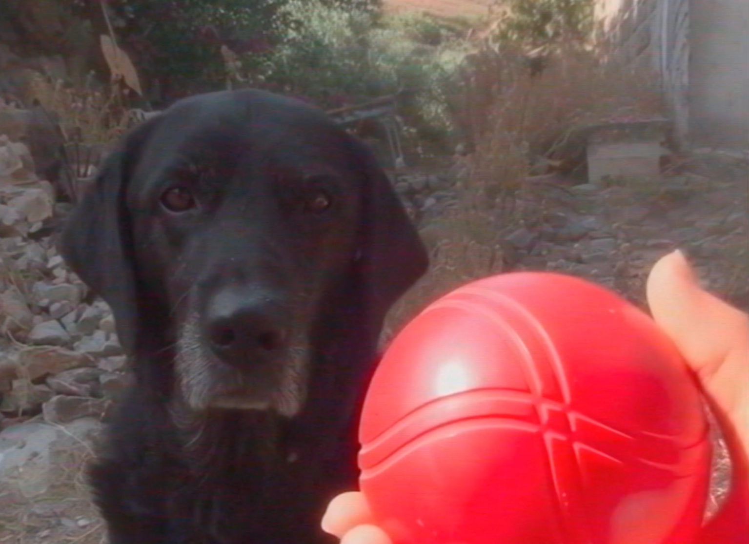 image-8897775010f3846671fcd8914cf9f39d321e3ef1-2564x1864-png