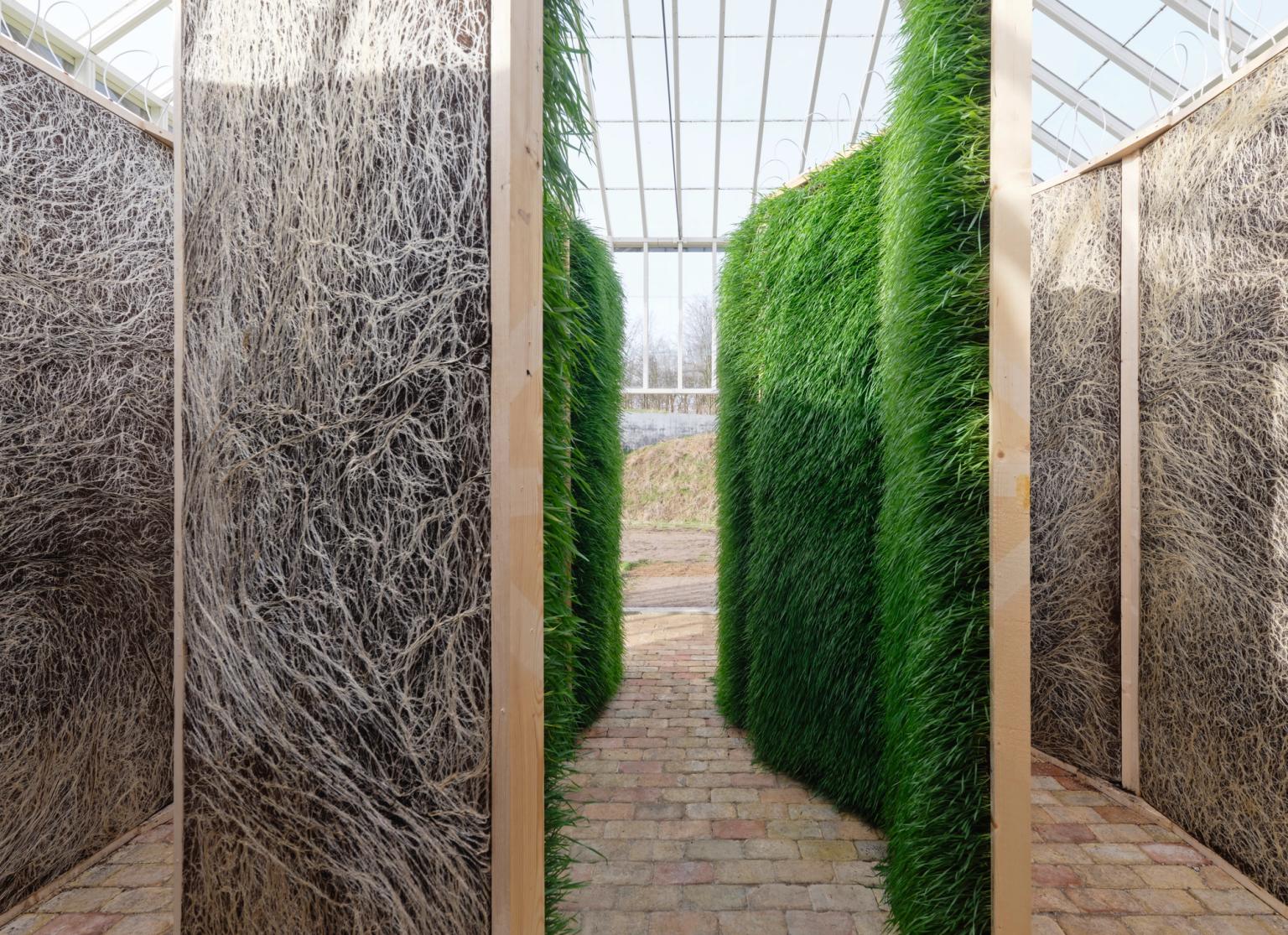 image-8a0924f6fe4dc292755d1c3ac1860c78e665941a-11648x8457-jpg