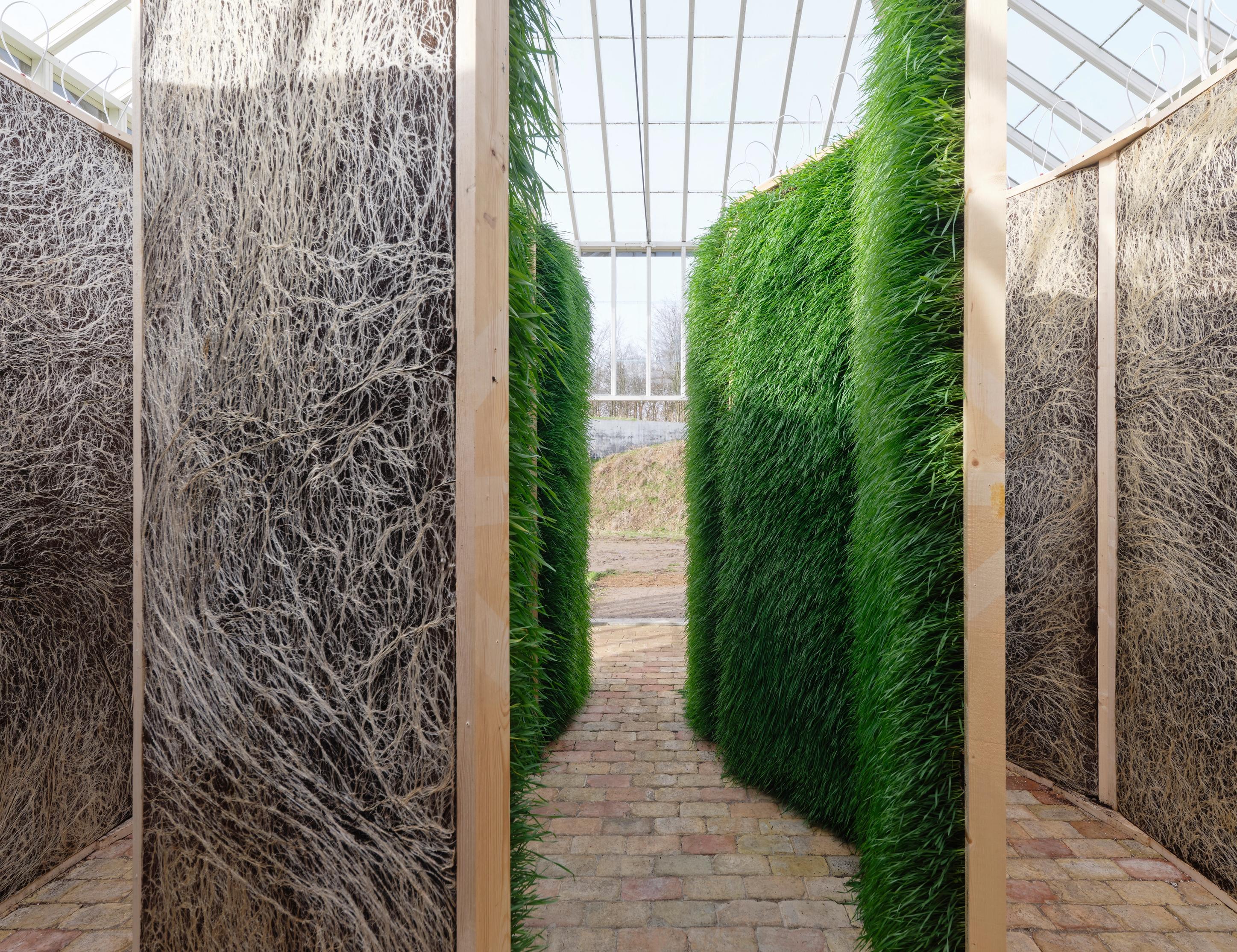 image-8a0924f6fe4dc292755d1c3ac1860c78e665941a-11648x8457-jpg