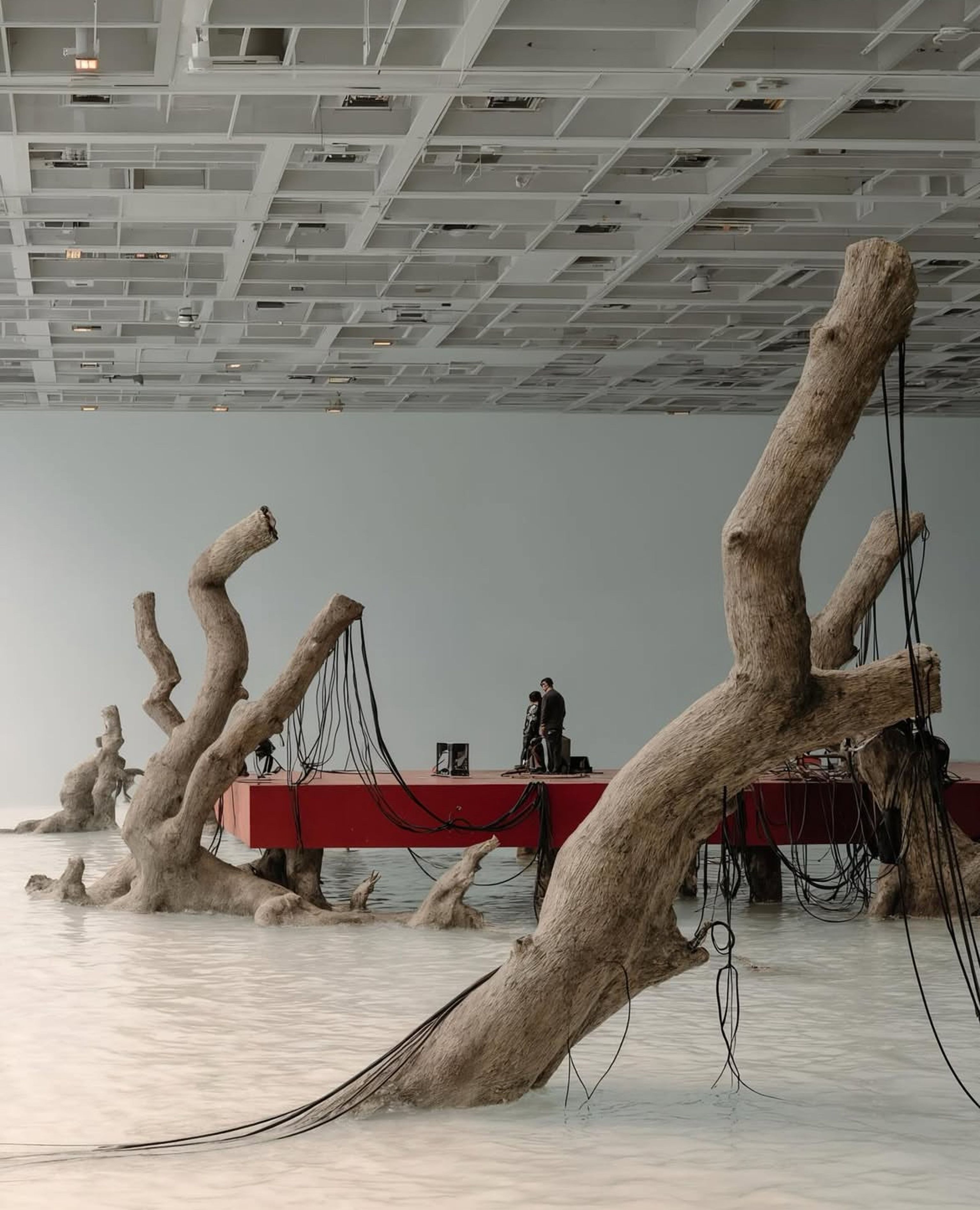 image-8bc62b7d5cf702cd3eb65b09b0110d3c4023b557-1170x1445-jpg