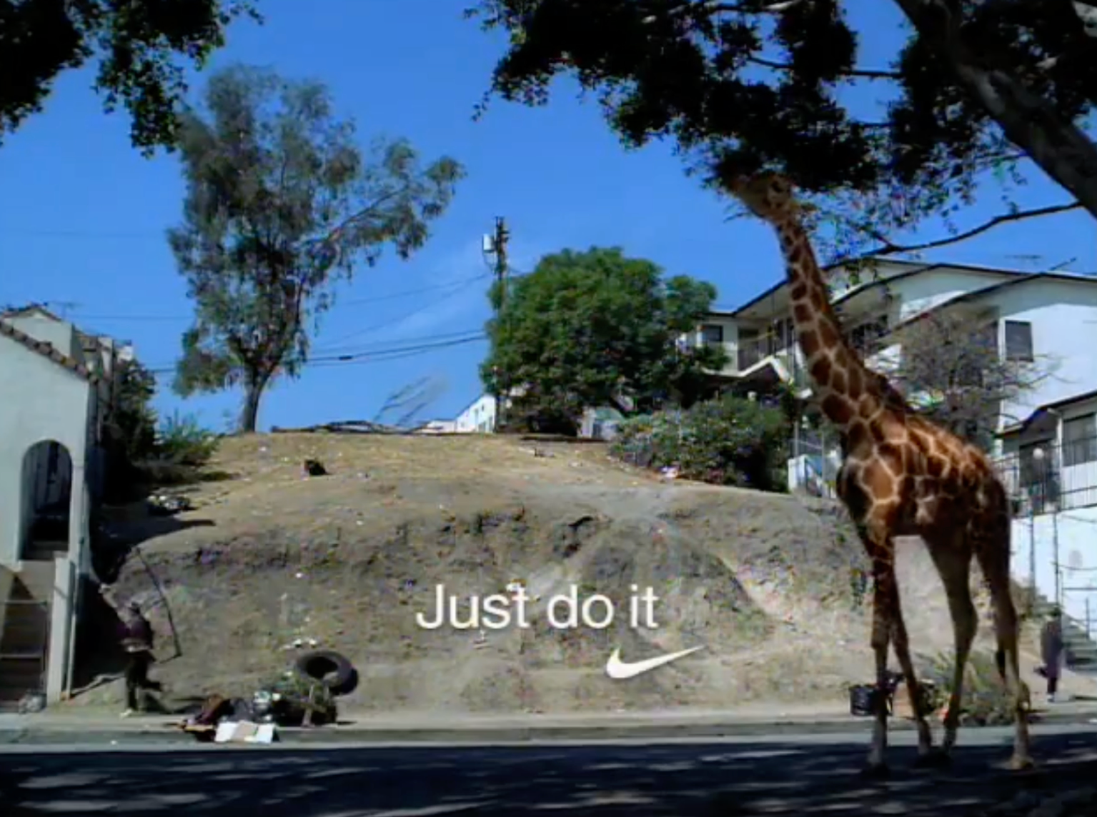 image-8cb9f3d2d19dadba08892721a5d7f9f557c9e879-1530x1140-png