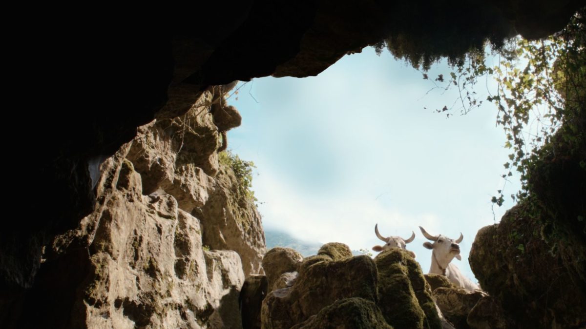 image-8d36e6c825b67f8f33ca5e212d1e48ec8d538cf7-1200x675-jpg