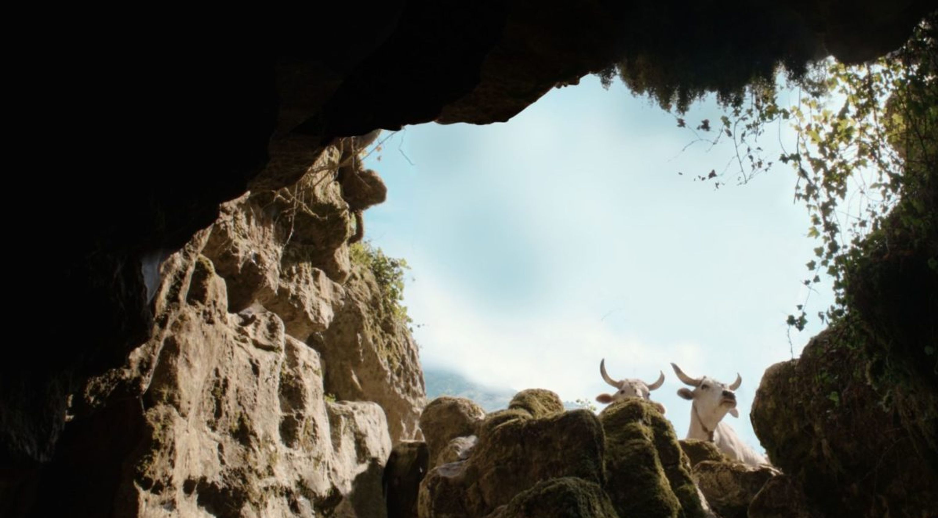 image-8d36e6c825b67f8f33ca5e212d1e48ec8d538cf7-1200x675-jpg