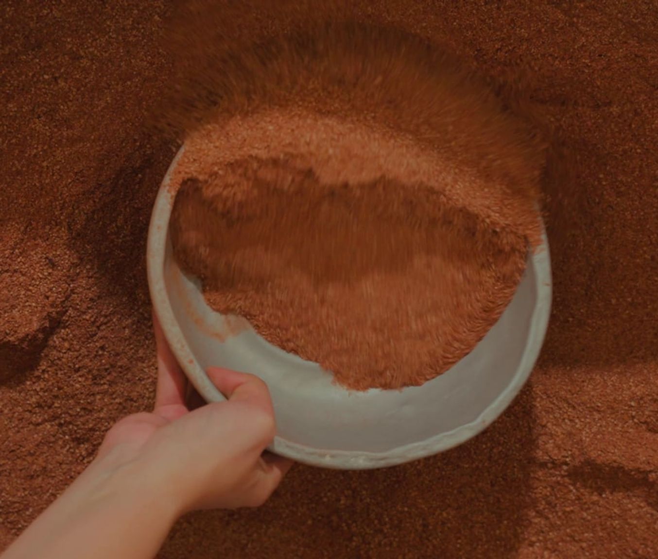 image-8d768170156362af52bc25033b4045bc2102be57-1080x810-jpg