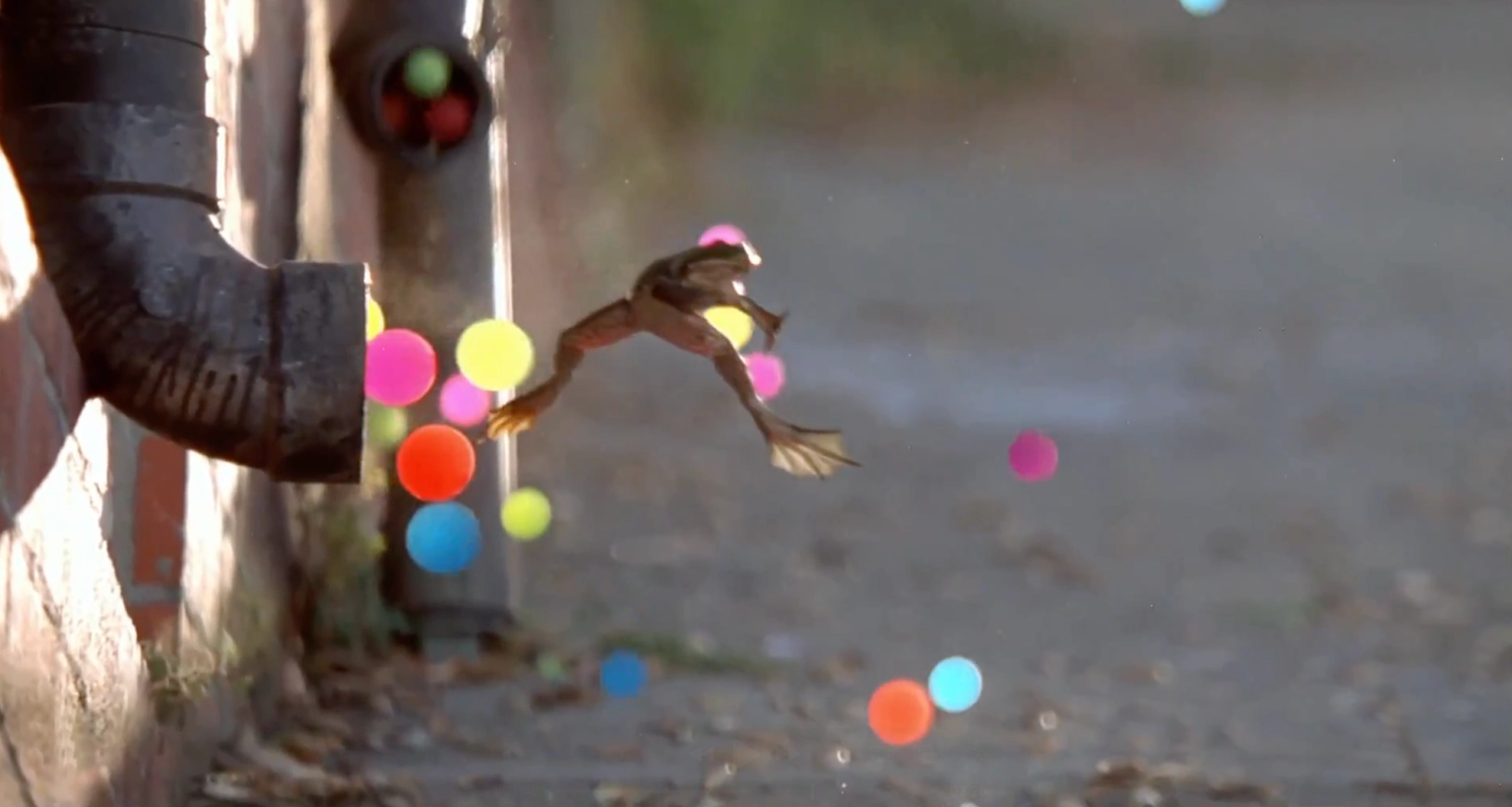 image-8fadb435e9248010c56ec149eef16fe2cff5a4d9-2696x1438-png