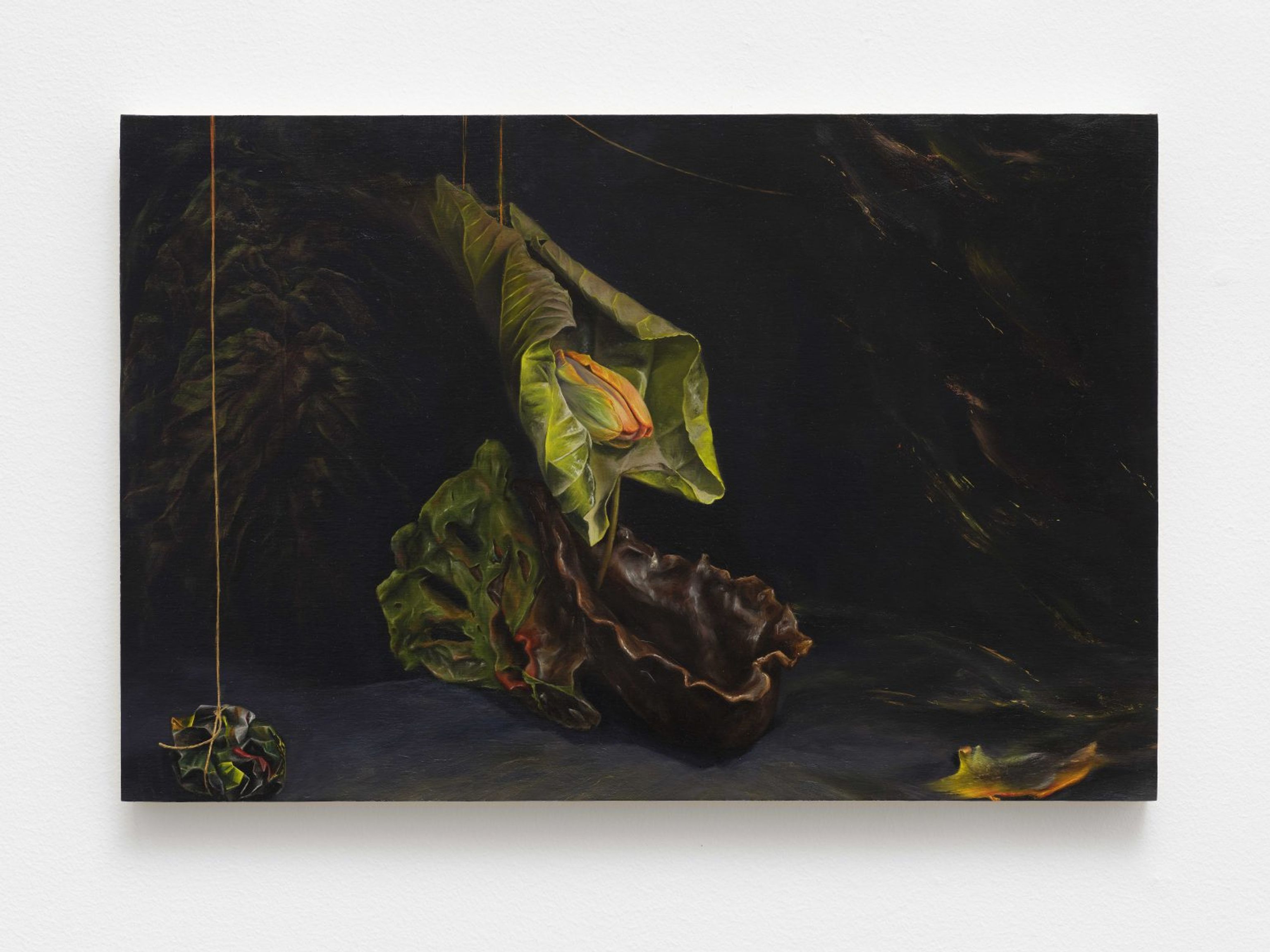 image-973af78cfea4435bcfbe11939e991d02caacf731-1600x1200-jpg