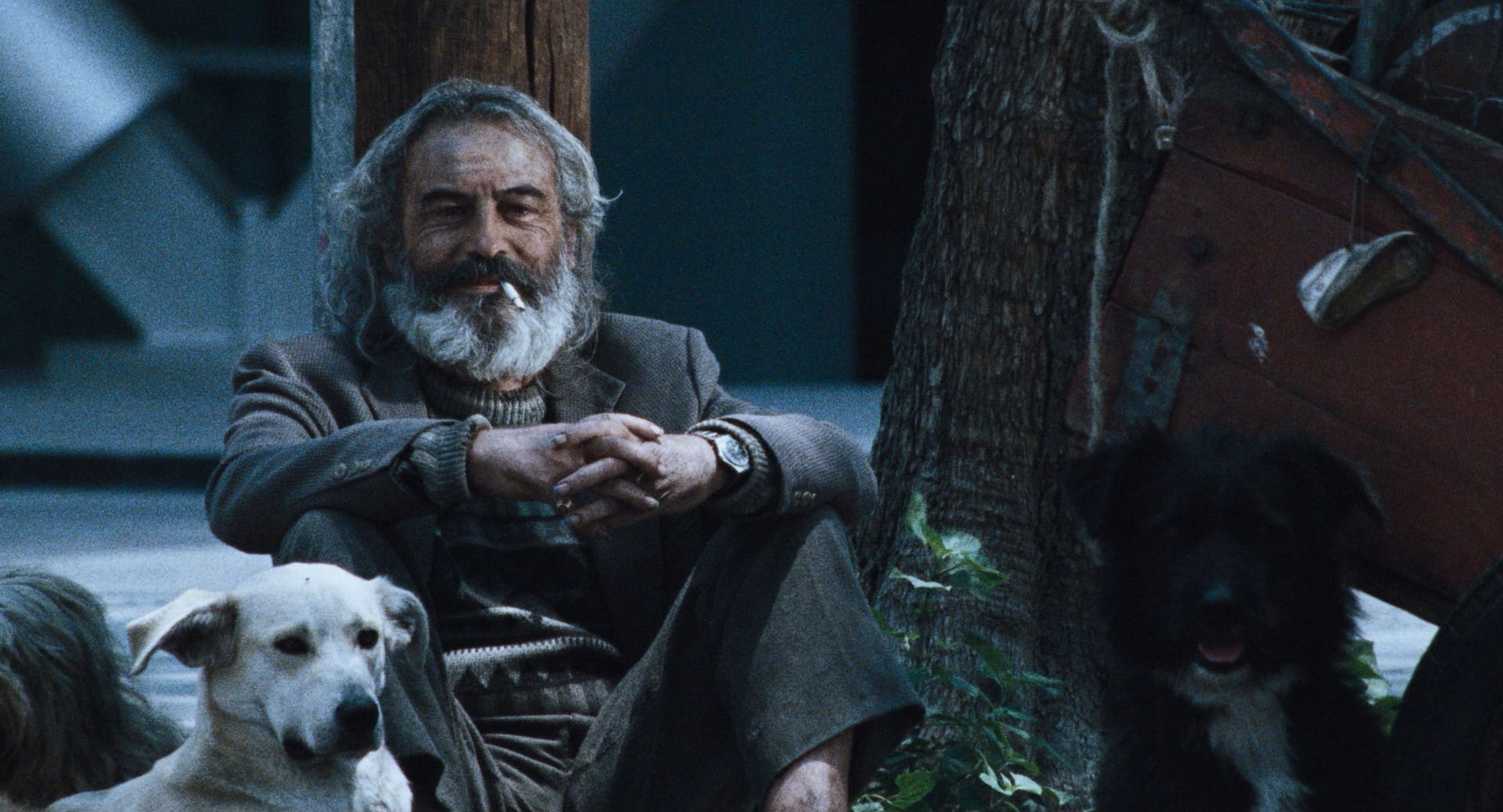 image-97cf9844da4706dbe45944ab0adece1a2f7be161-1920x1038-jpg