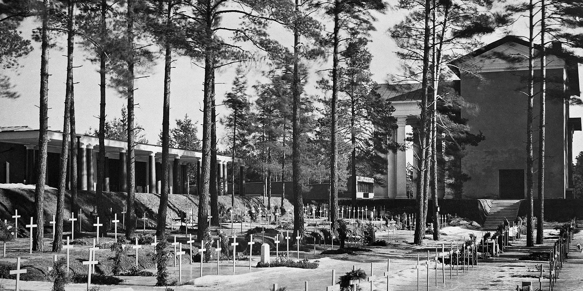 image-9a1daa534e3072eaa03971b9ce8e830e5dbccde6-1920x960-webp