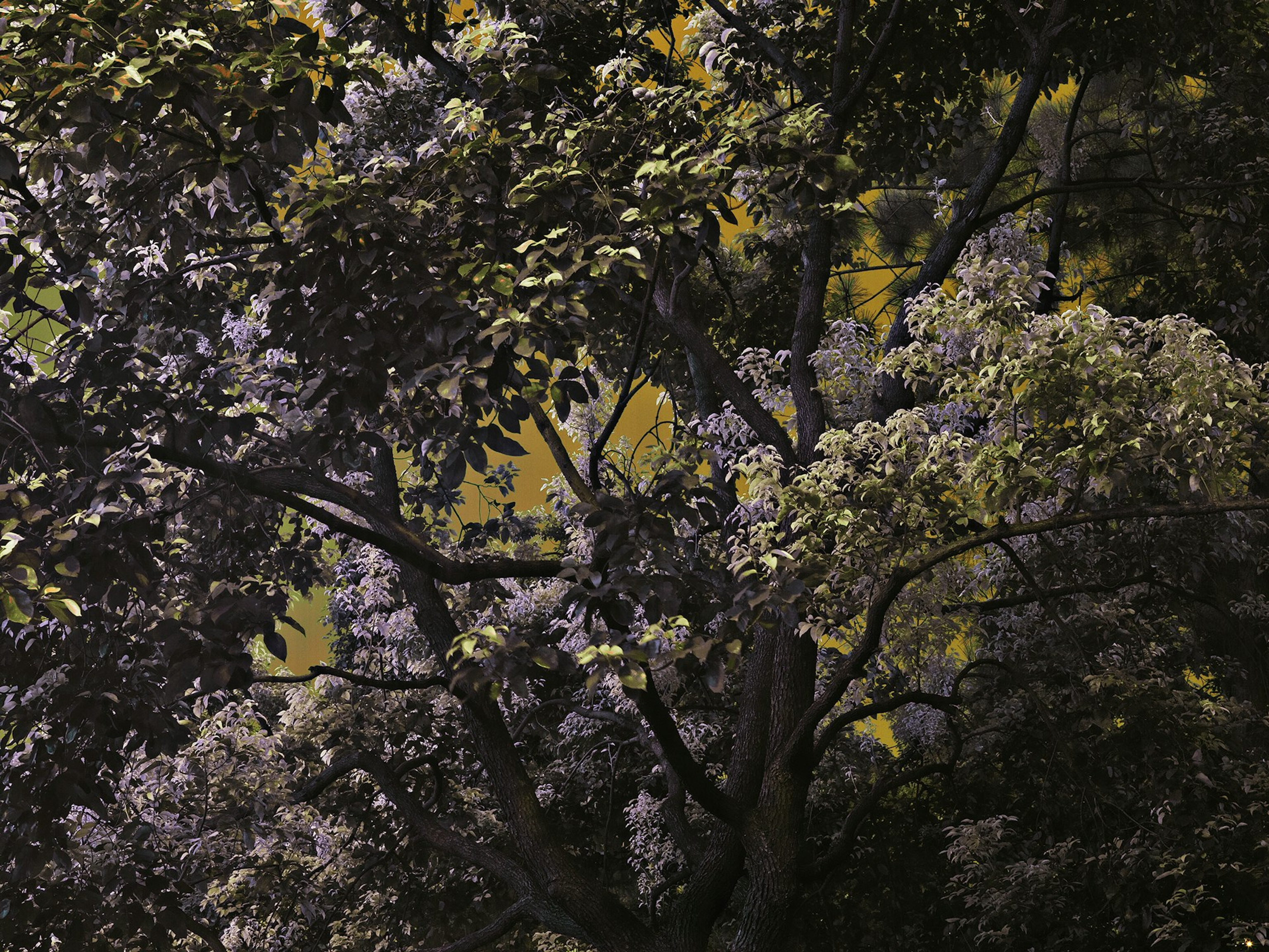 image-9a2401ef9f4b6dab59b6e585dfb669bdd08c029c-1920x1440-png