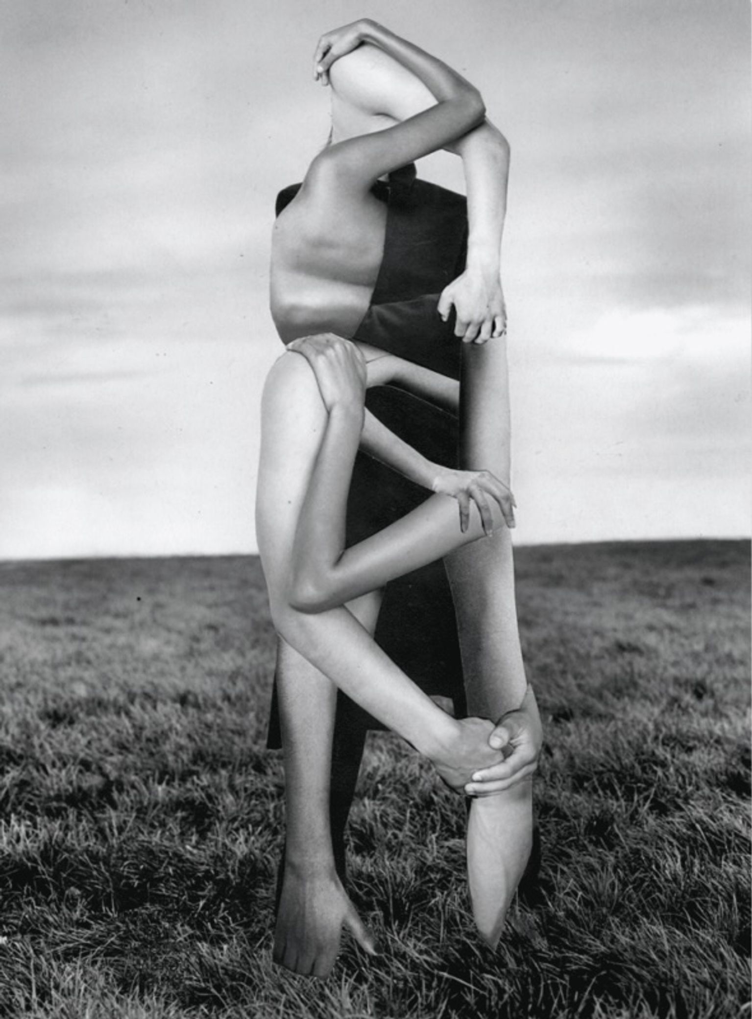 image-9ab0e7d71677c41a685372b2ff6fa6e61b1eef5c-590x800-jpg