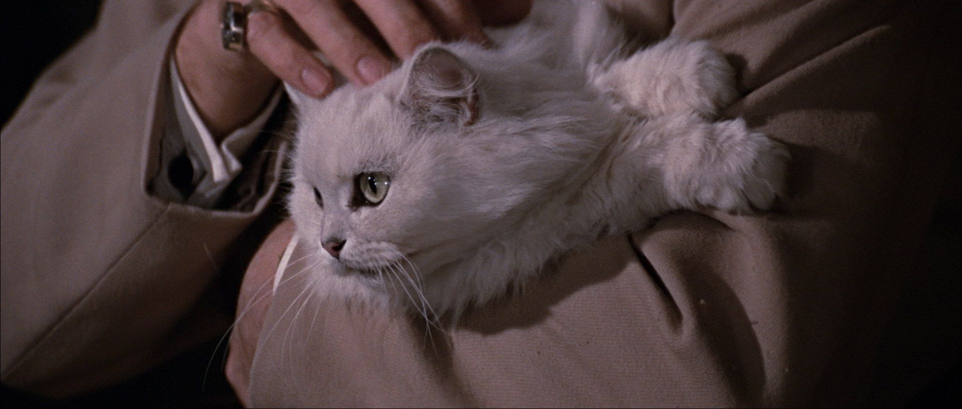 image-9b3ab7d67863aaf7570548ea0bdeb8f70d662dd2-1920x816-jpg