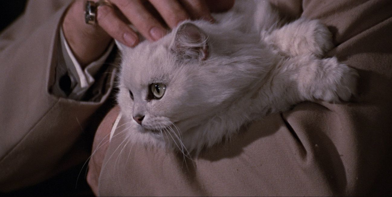 image-9b3ab7d67863aaf7570548ea0bdeb8f70d662dd2-1920x816-jpg