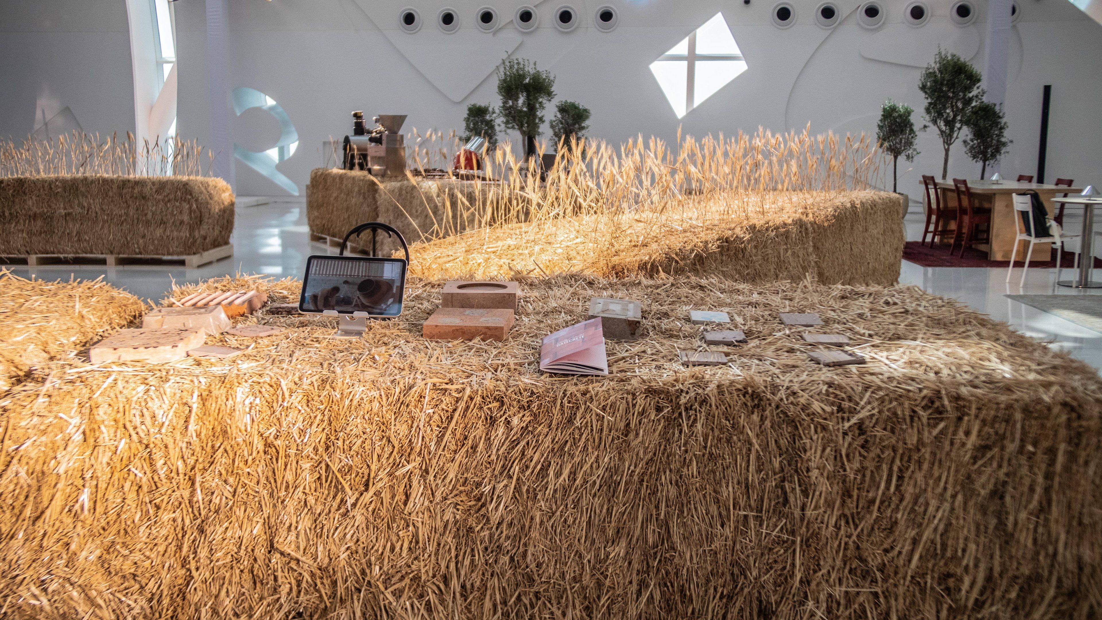 image-9d15c696e2f5192c19725b6e5b8acbcf154bf42e-3840x2162-jpg