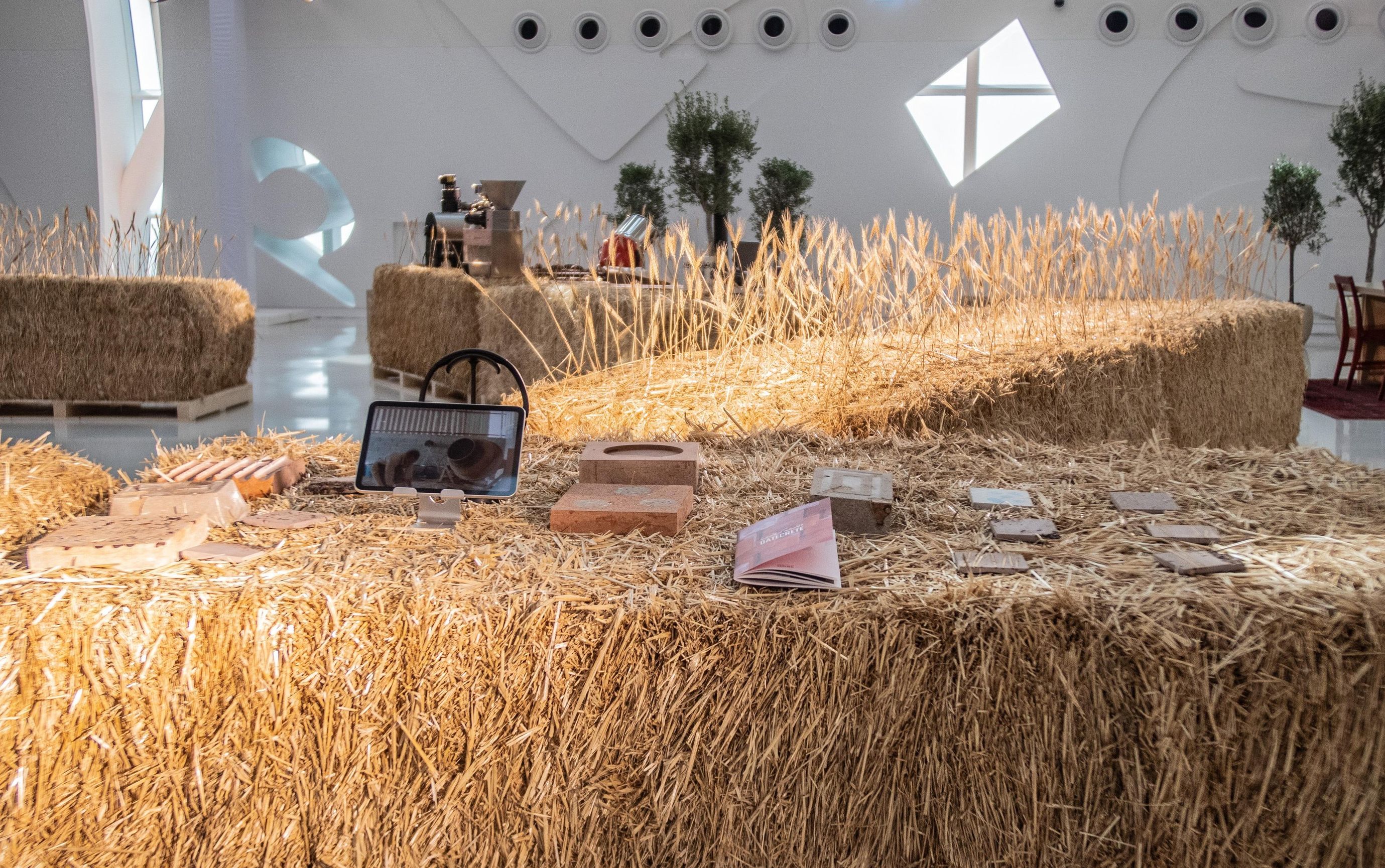 image-9d15c696e2f5192c19725b6e5b8acbcf154bf42e-3840x2162-jpg