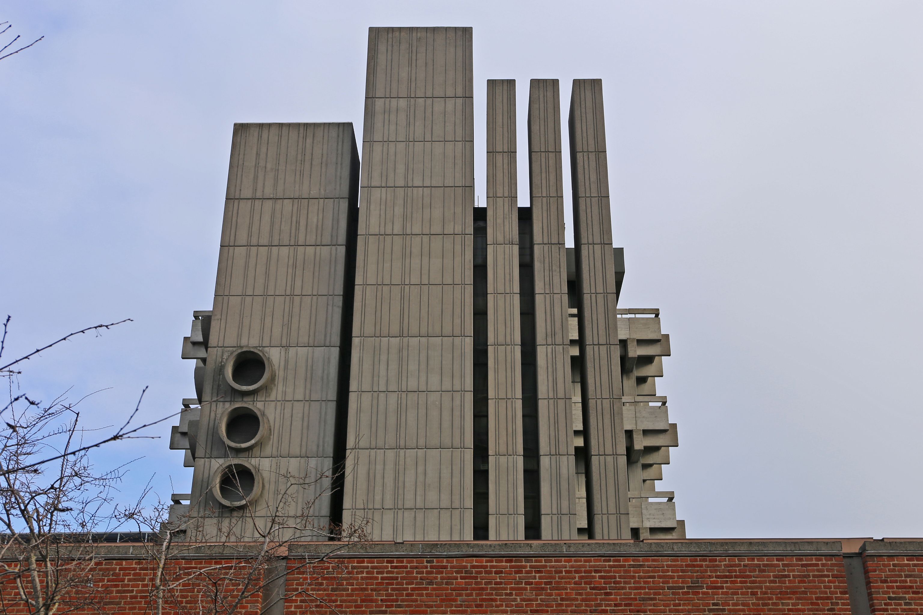 image-9e7bb4db652a06da2cfff9b6260596bc02f919f9-3429x2286-jpg