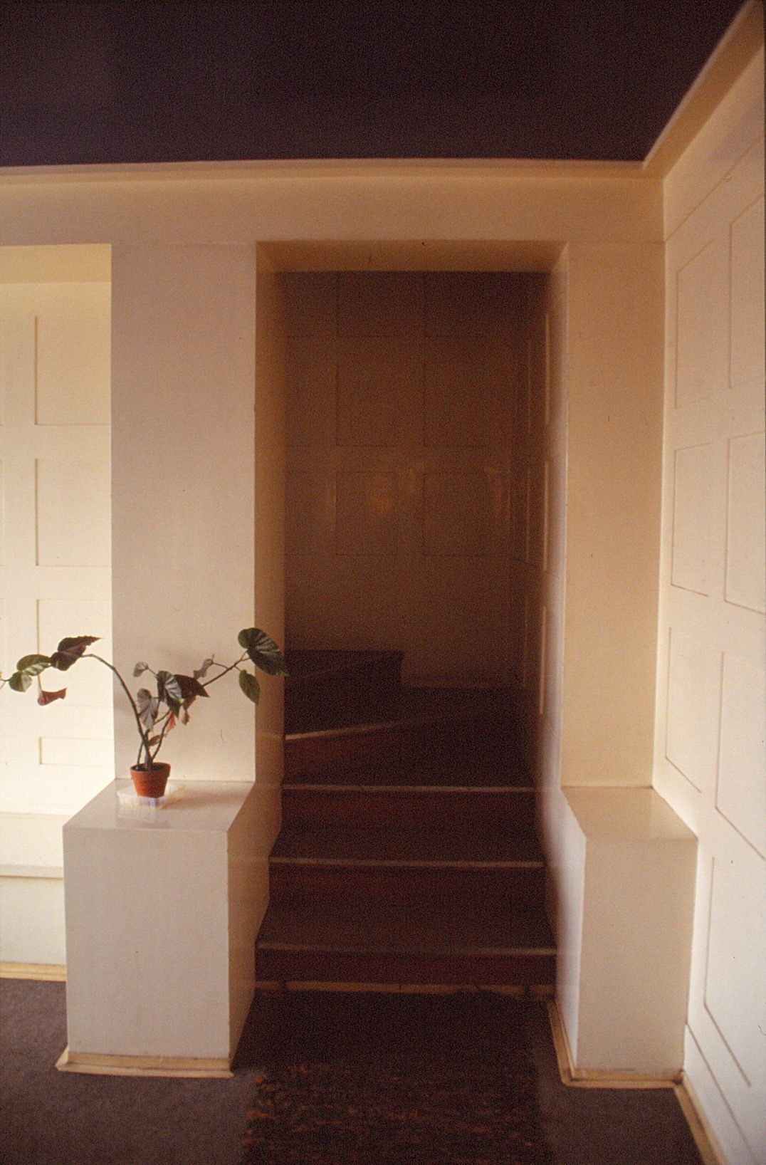 image-9e9c679e0919e5a96abdd9cd8458660512e429fe-1076x1636-jpg