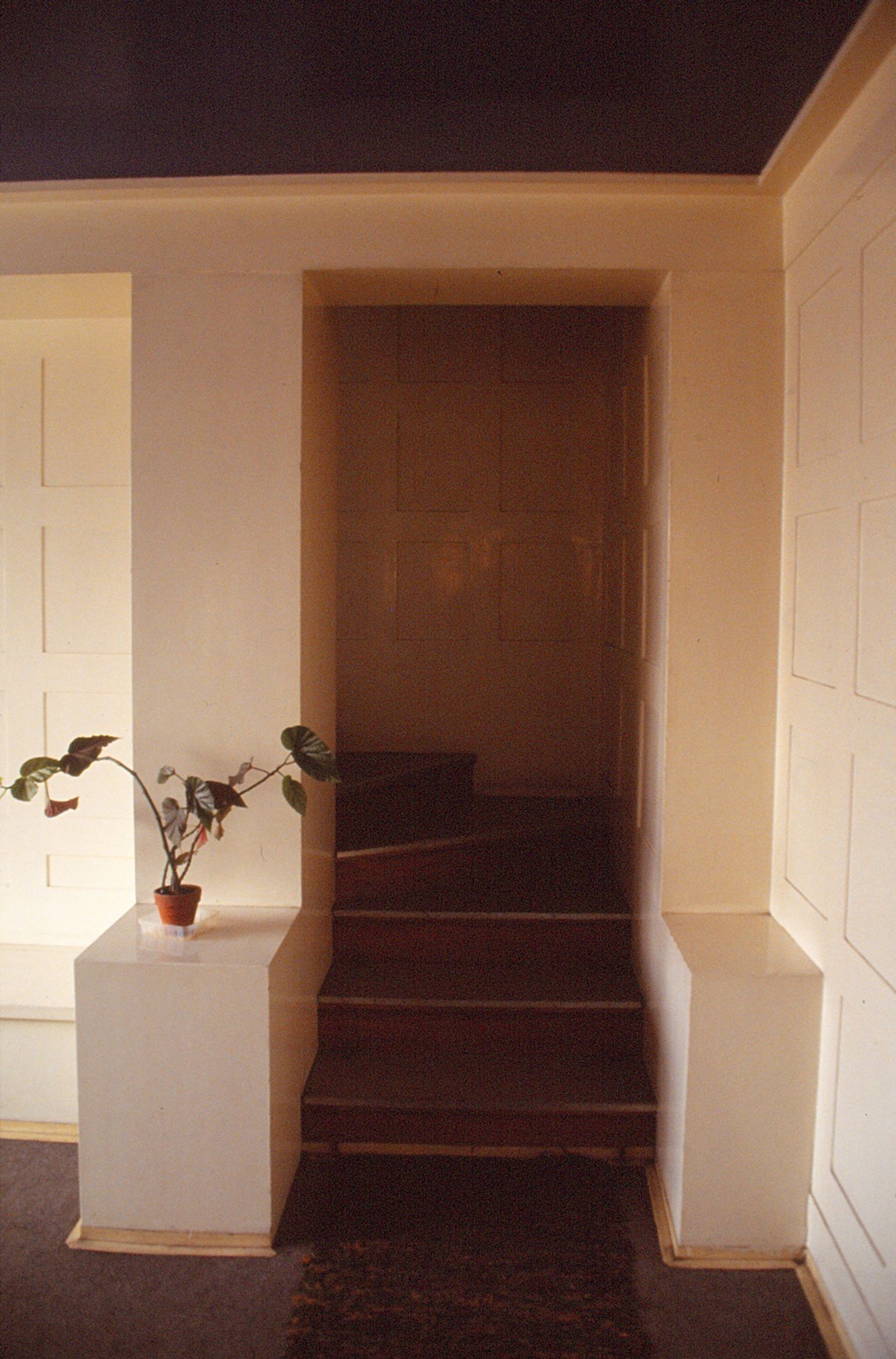 image-9e9c679e0919e5a96abdd9cd8458660512e429fe-1076x1636-jpg