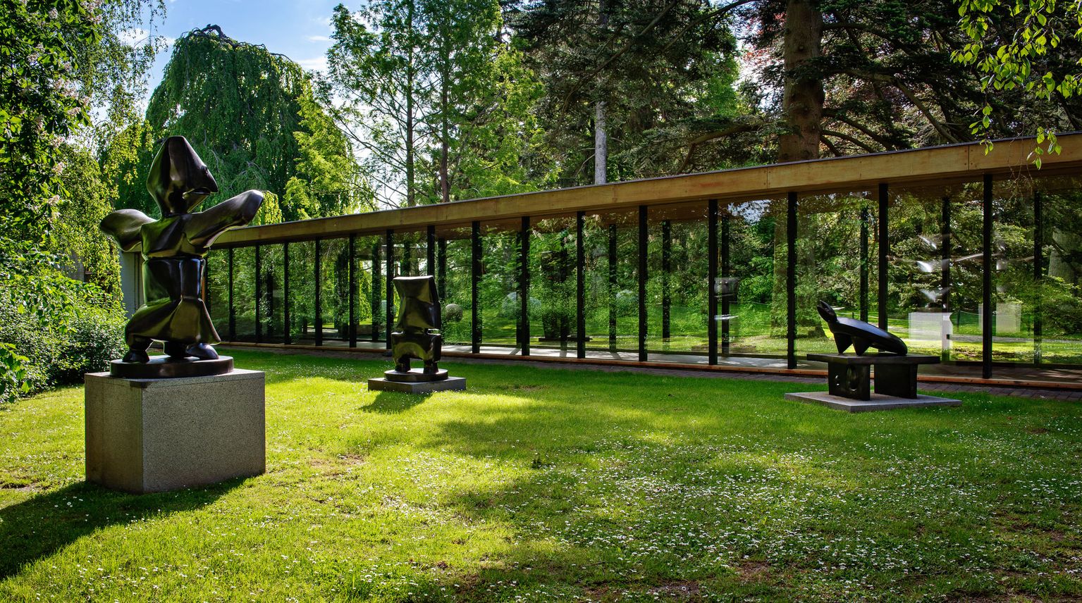 image-9f6bb94ad41de7e85478d4721162ad6f0d078c06-2000x1115-jpg