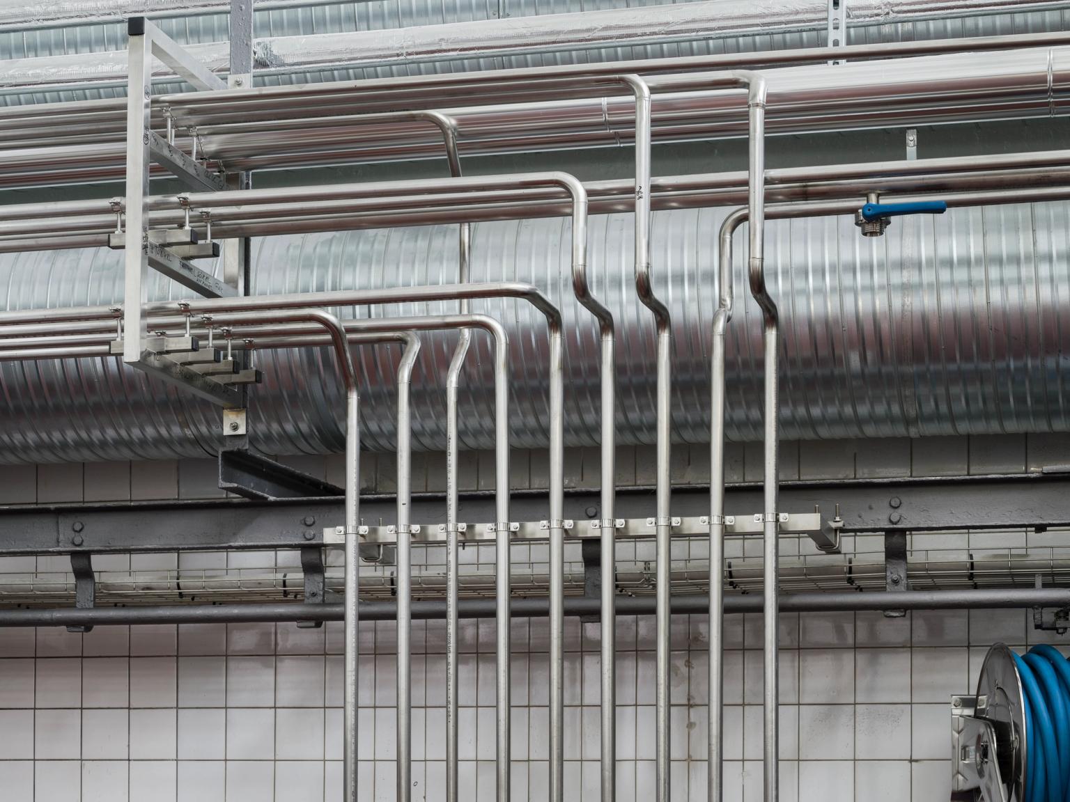 image-9fd4ee3e5abcda38a0f174d850349553bb300ea8-6000x4500-jpg