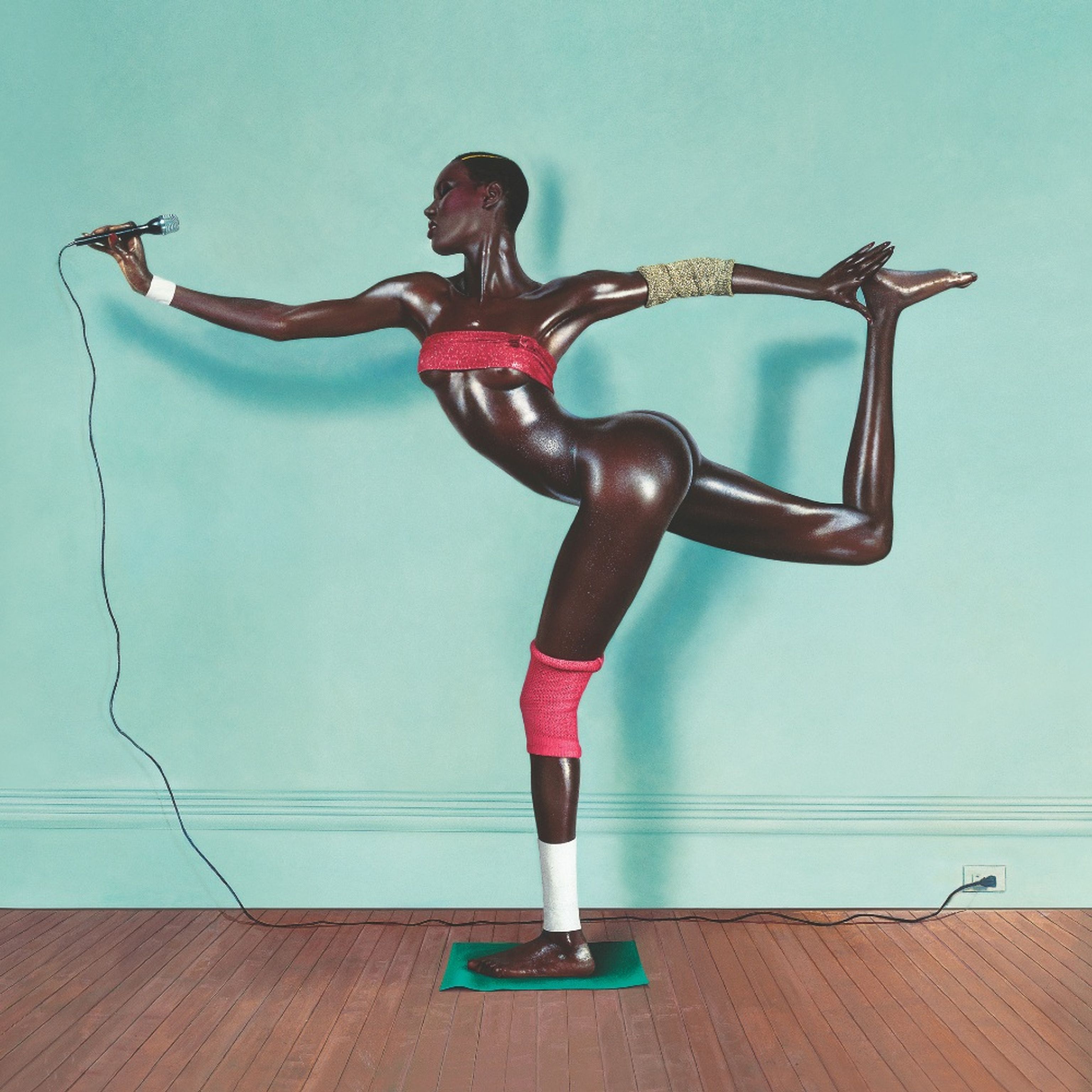 image-9ffcd70a31d26ad96a554aaa21cd33be7f6f23cb-1000x1000-jpg